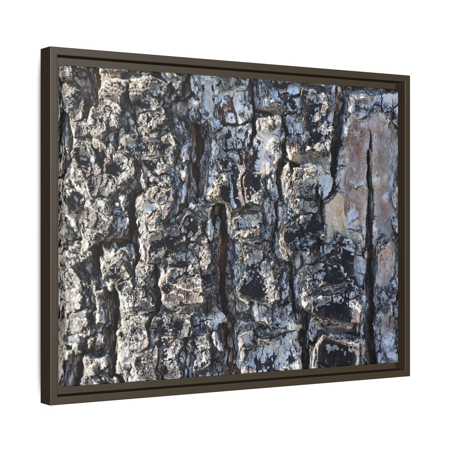 The Bark Chronicles - Unique Stretched Canvas Wall Art