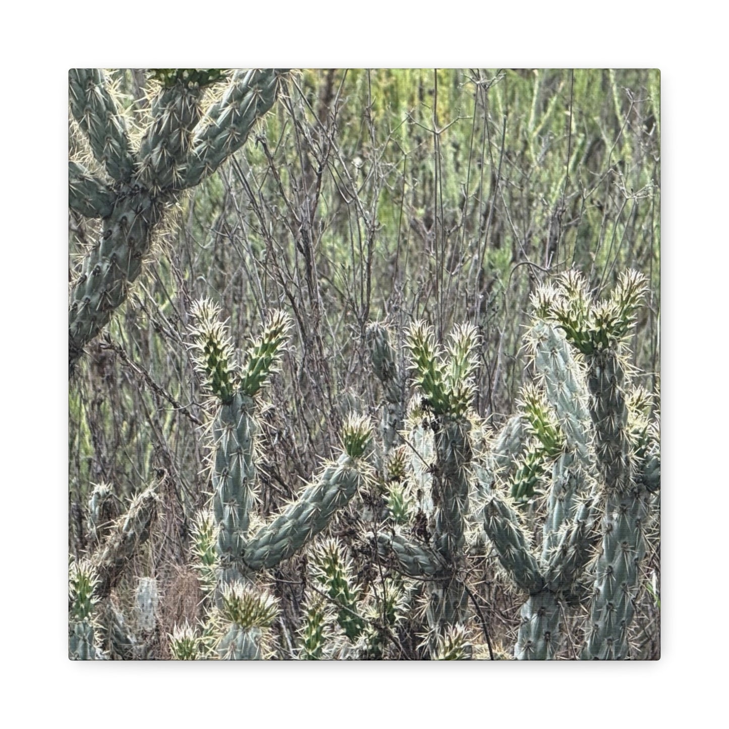Spiny Sentinels - Unique Frameless Canvas Wall Art