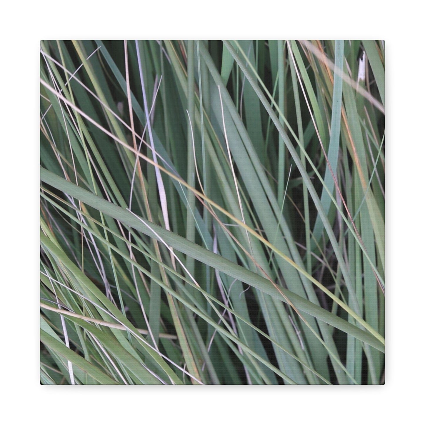 Whispers of Green - Unique Frameless Canvas Wall Art
