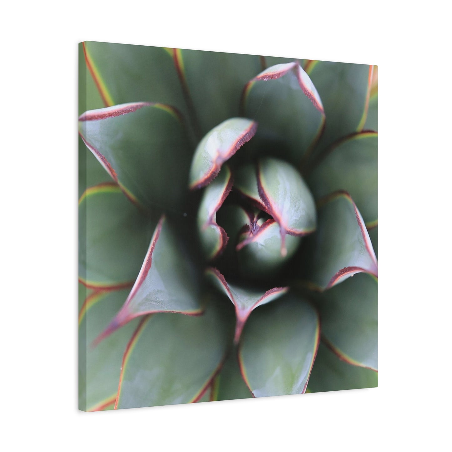 Emerald Spiral - Unique Frameless Canvas Wall Art