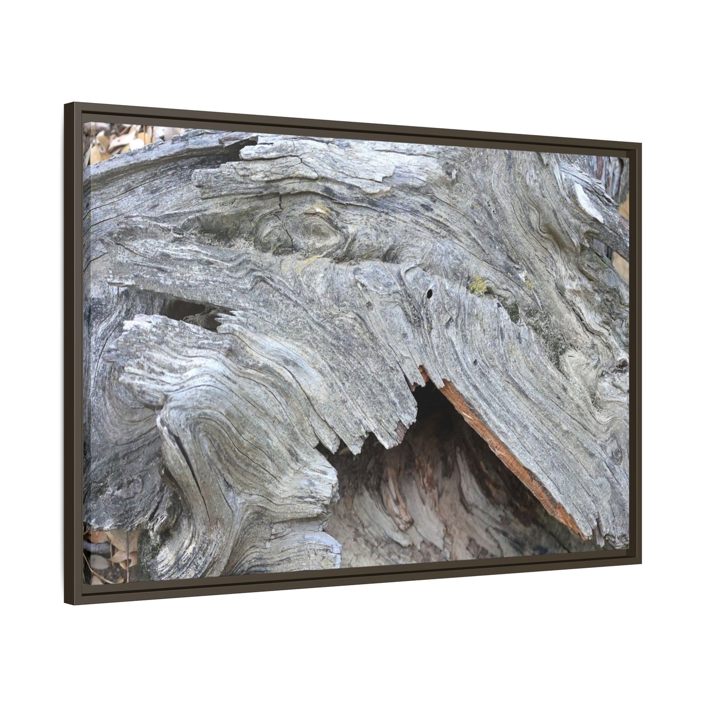 Driftwood Dreams - Unique Stretched Canvas Wall Art
