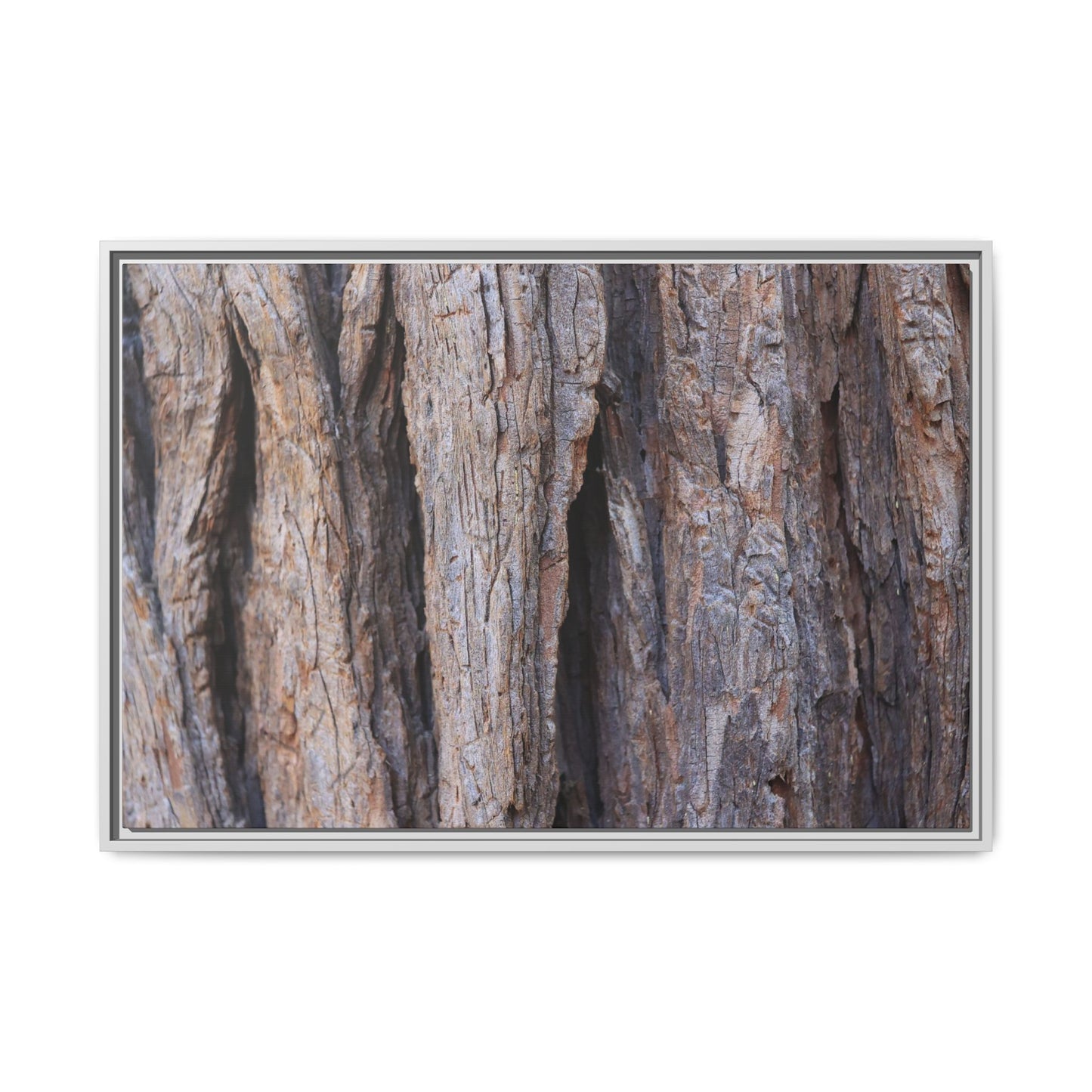 Ancient Grains - Unique Stretched Canvas Wall Art