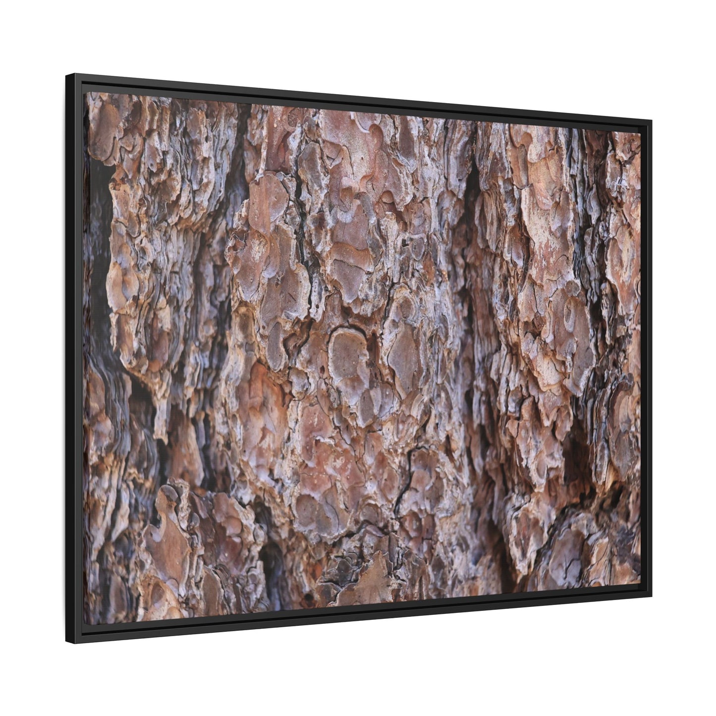 Woody Layers - Unique Stretched Canvas Wall Art