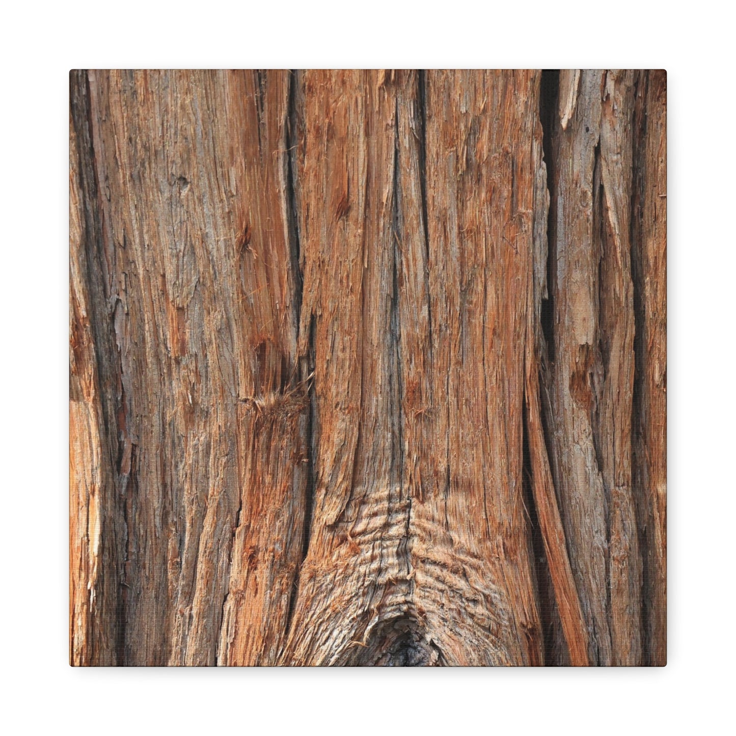 Bark's Ancient Whispers - Unique Frameless Canvas Wall Art