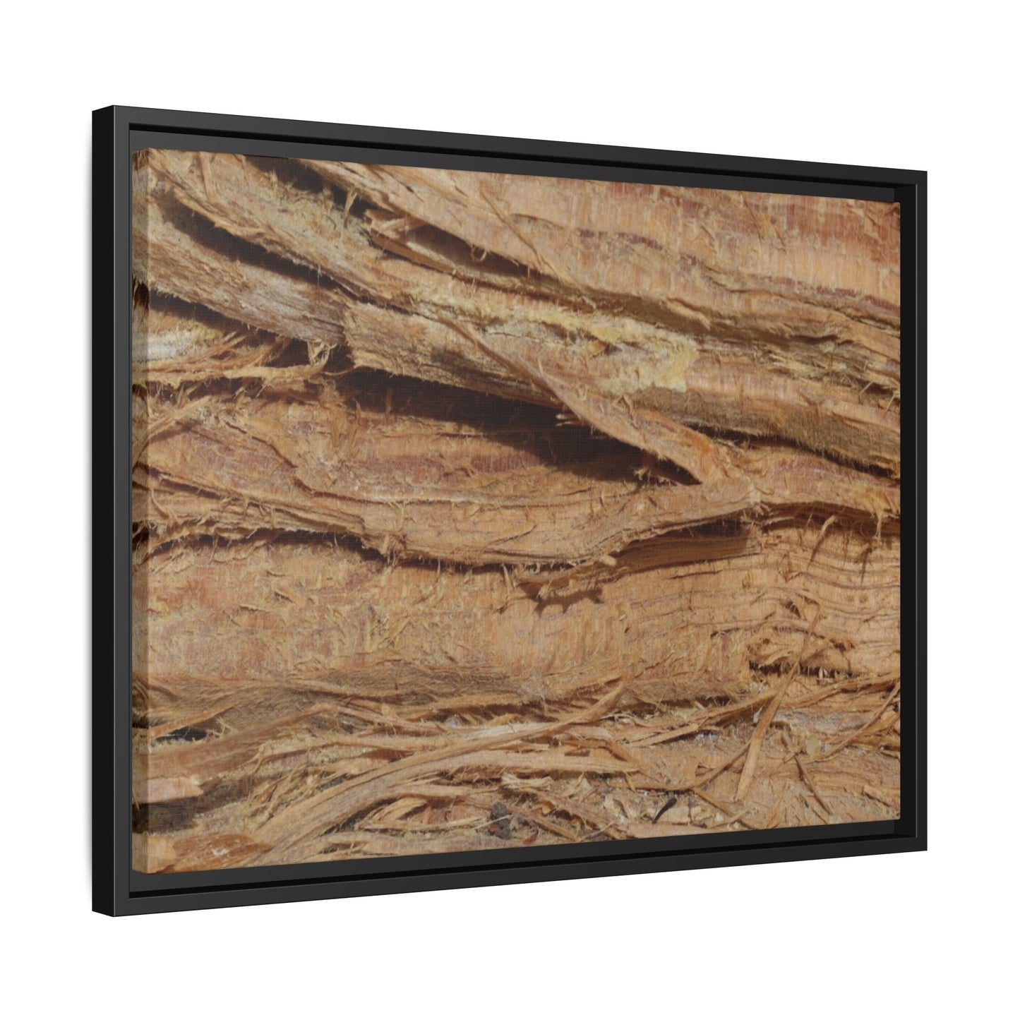 Splintered Bark - Unique Stretched Canvas Wall Art