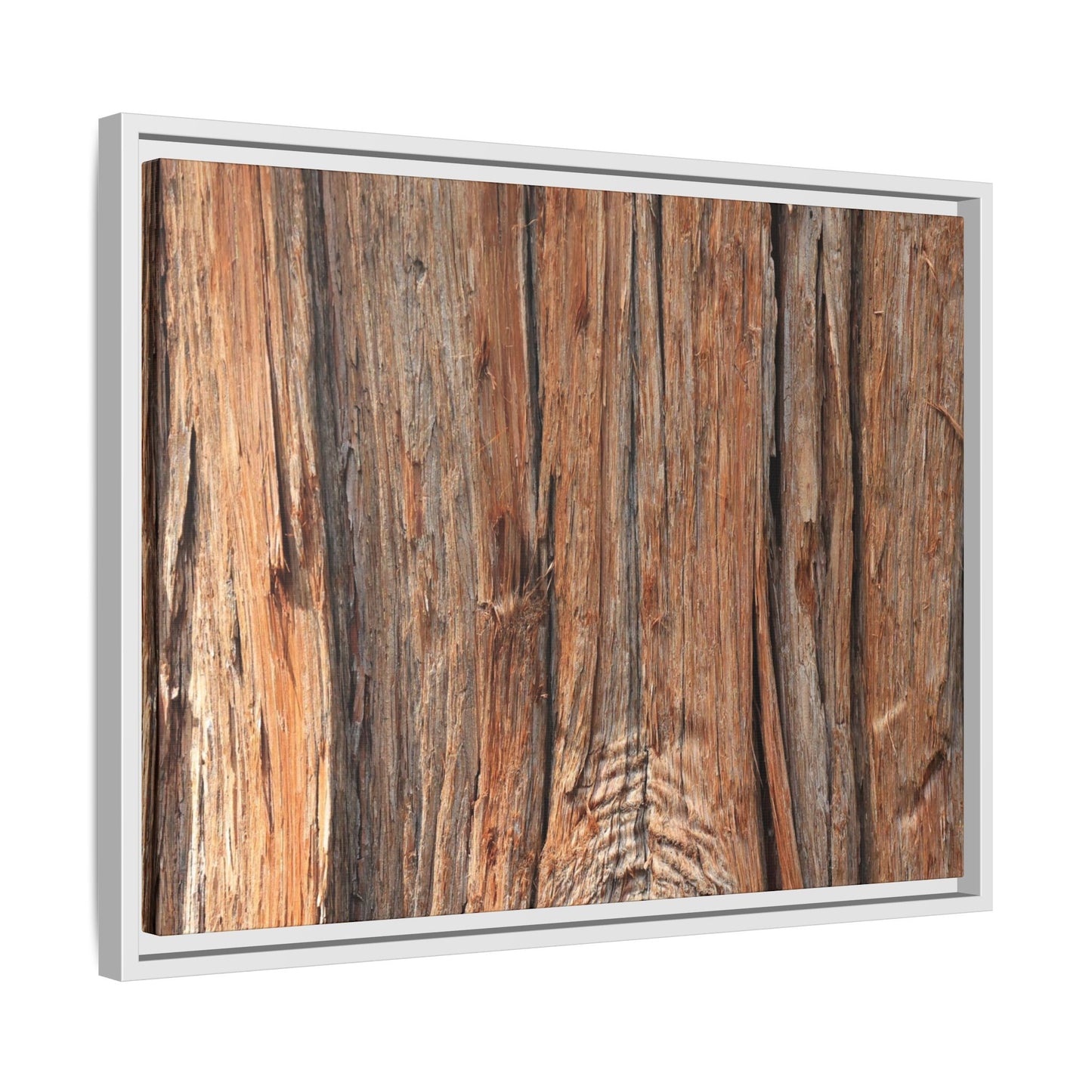 Echoes of Timber - Unique Stretched Canvas Wall Art