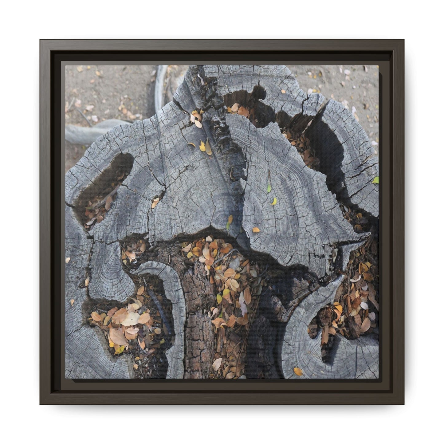Time's Fractal Memory - Unique Stretched Canvas Wall Art