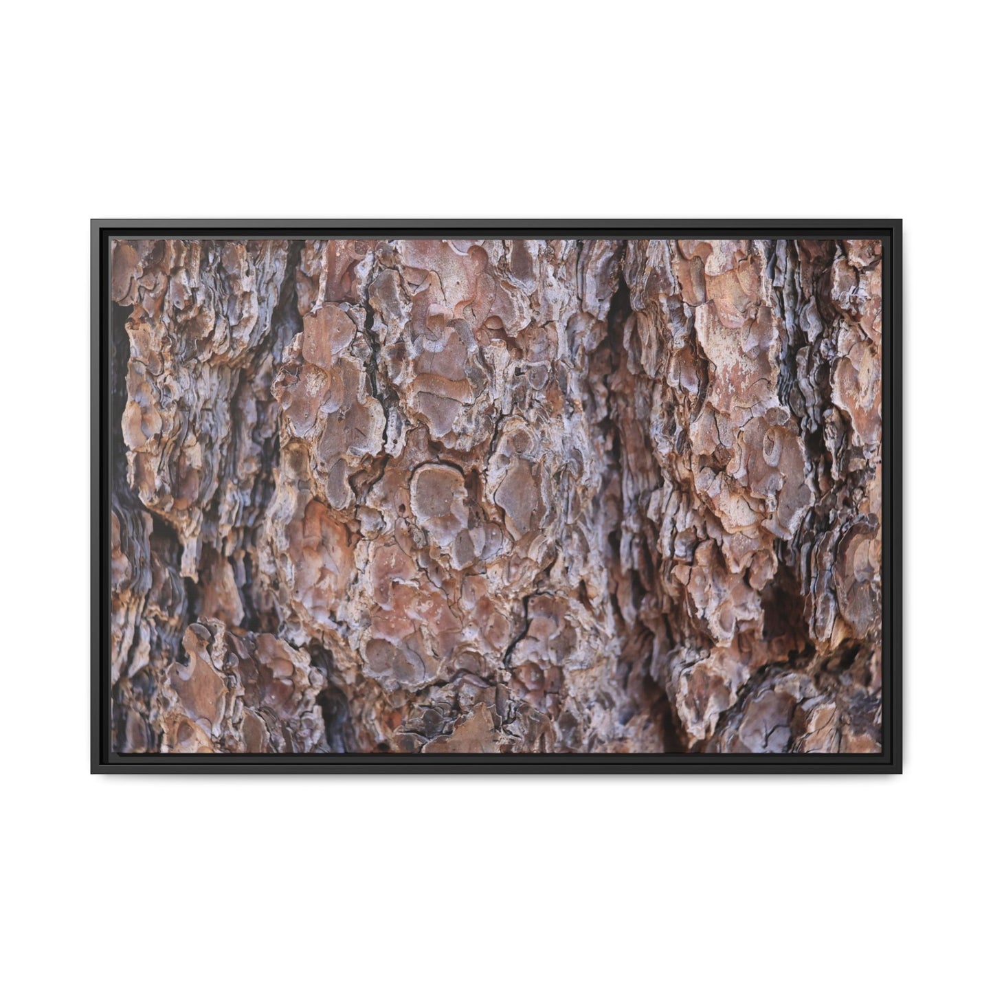 Woody Layers - Unique Stretched Canvas Wall Art
