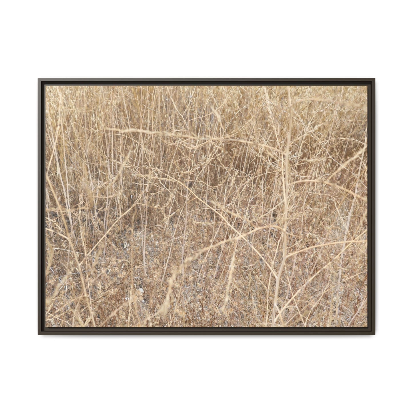 Golden Stalks - Unique Stretched Canvas Wall Art