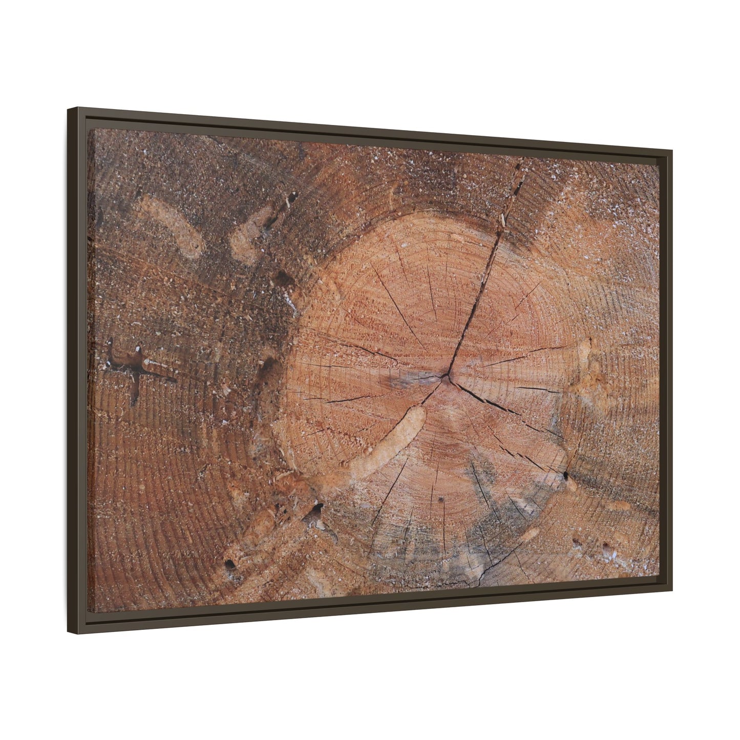 Concentric Memories - Unique Stretched Canvas Wall Art