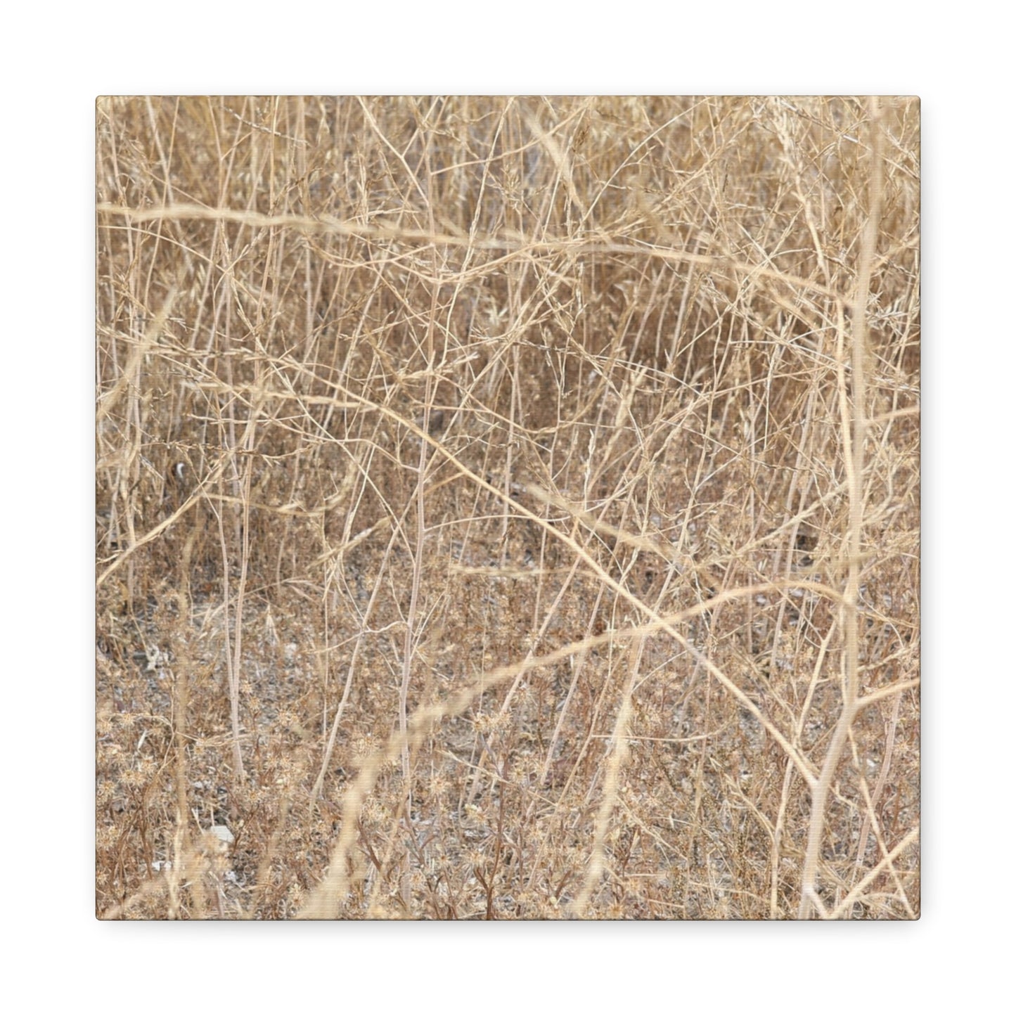 Dry Echoes - Unique Frameless Canvas Wall Art
