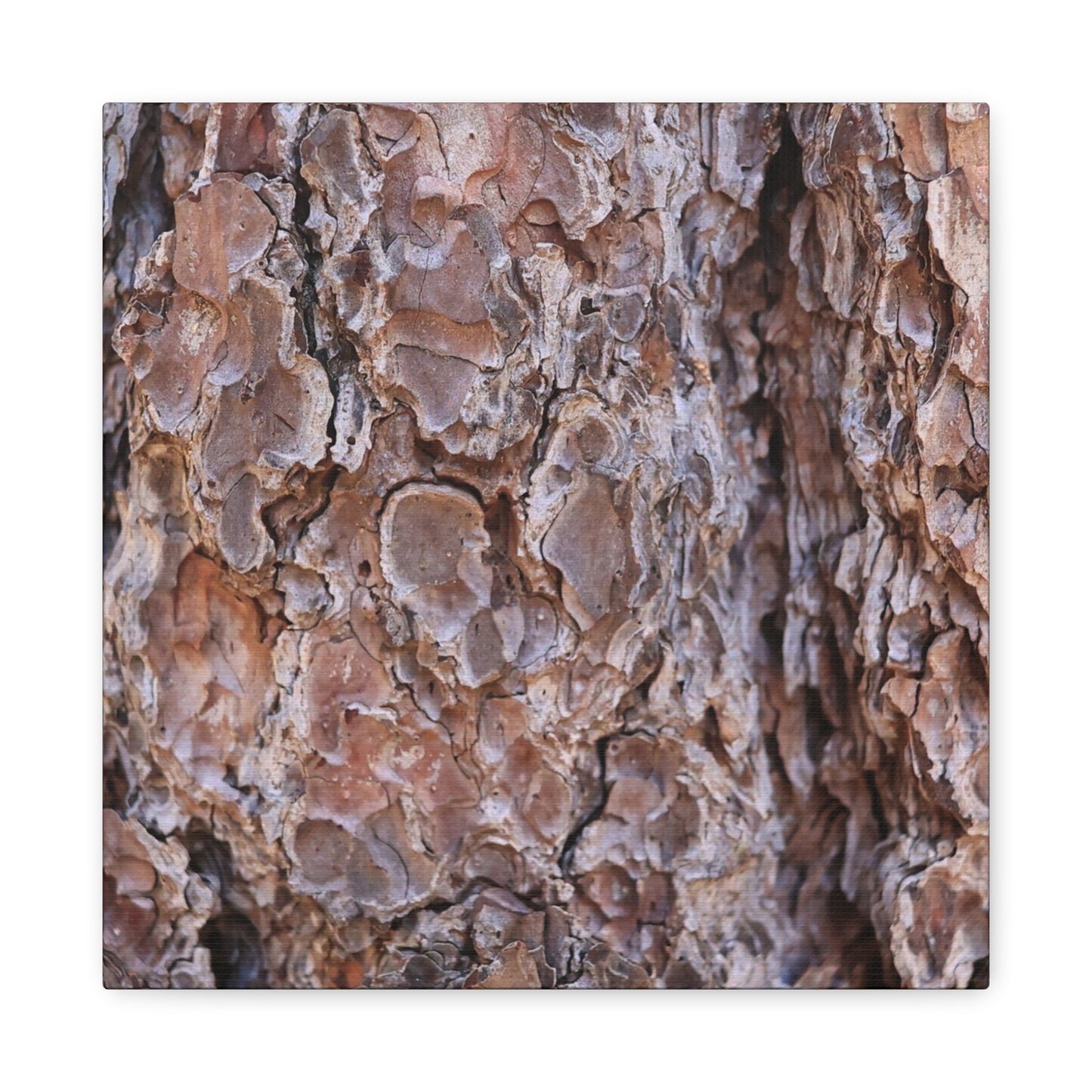 Rugged Bark Landscape - Unique Frameless Canvas Wall Art