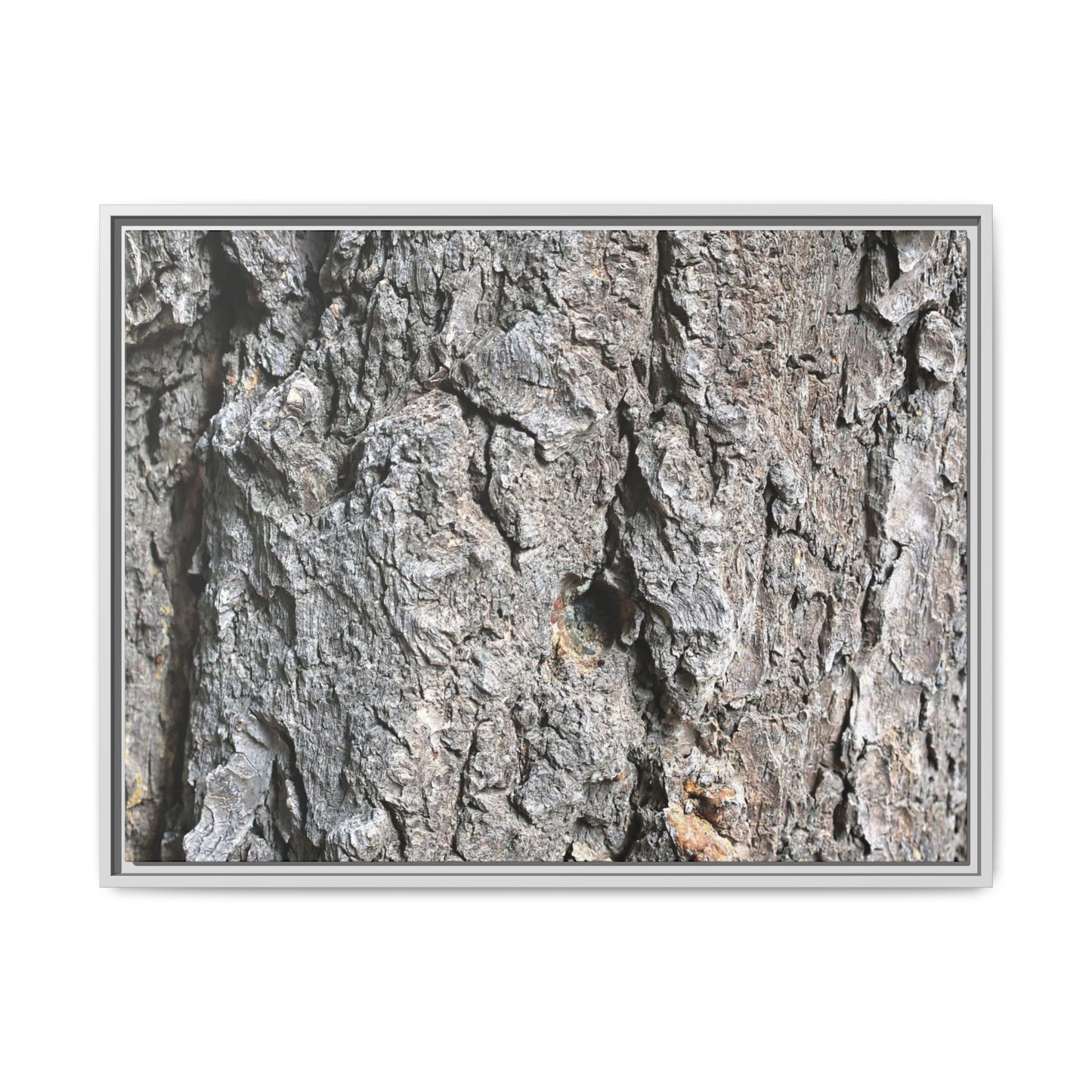 Crusty Exterior - Unique Stretched Canvas Wall Art