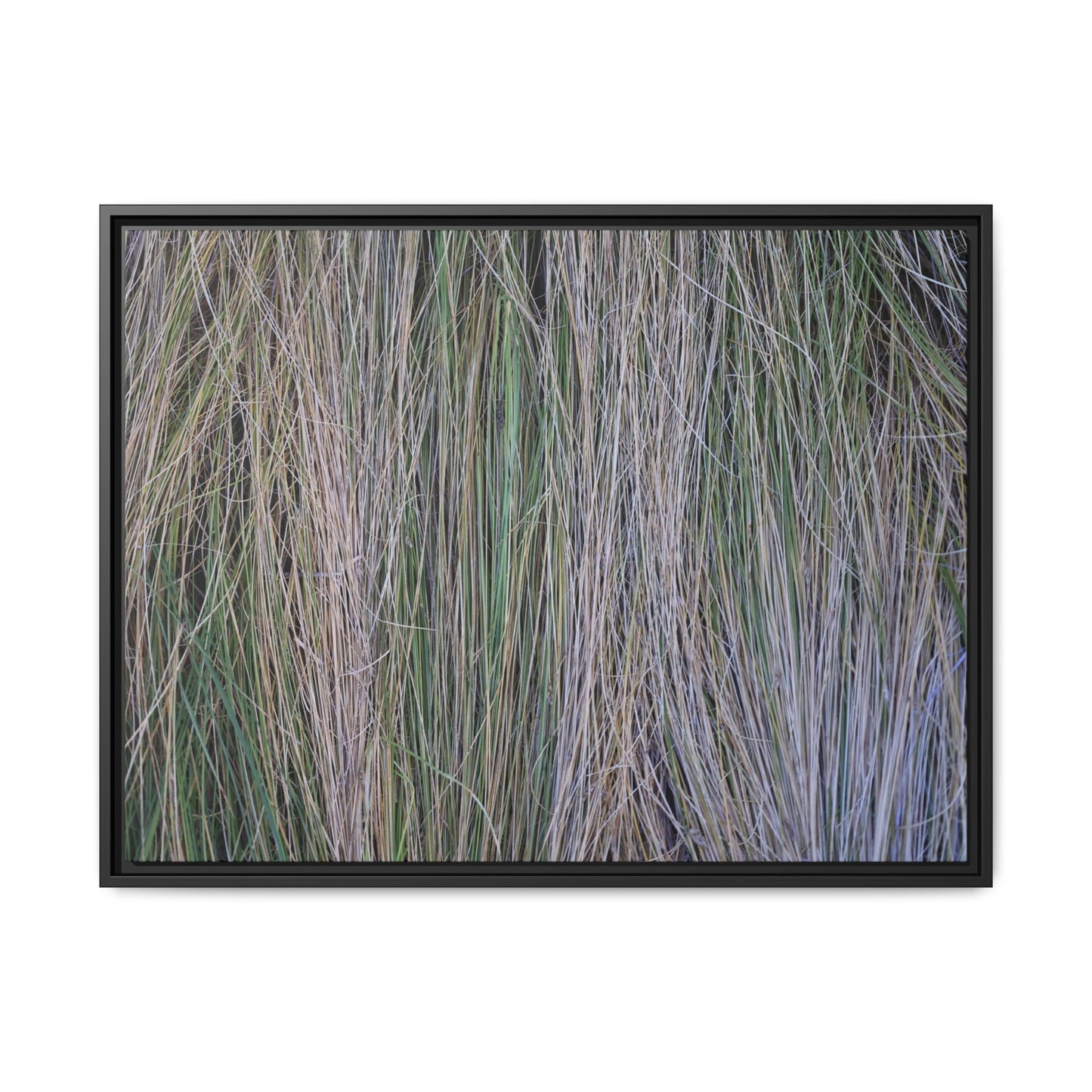 Whispers of Silver Grass - Unique Stretched Canvas Wall Art