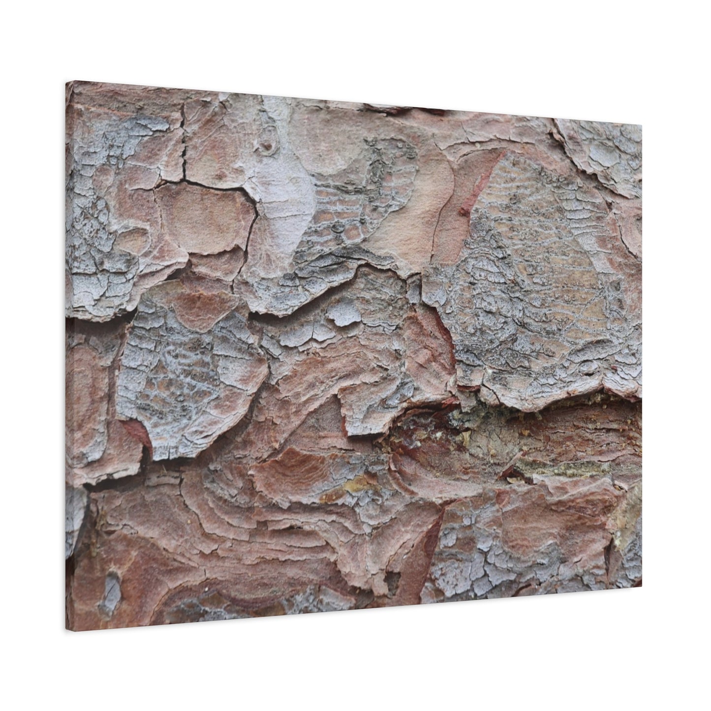 Textural Landscape - Unique Frameless Canvas Wall Art