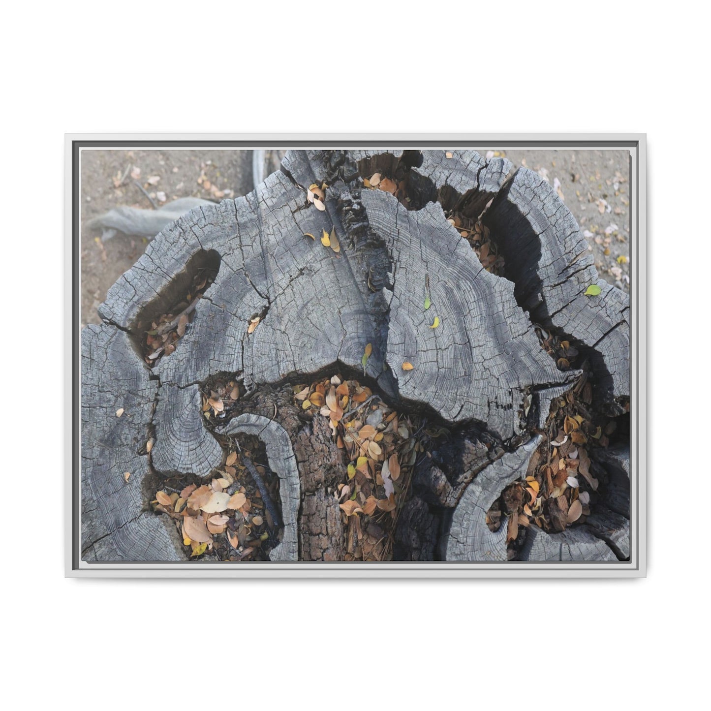 Time's Fractal Memory - Unique Stretched Canvas Wall Art
