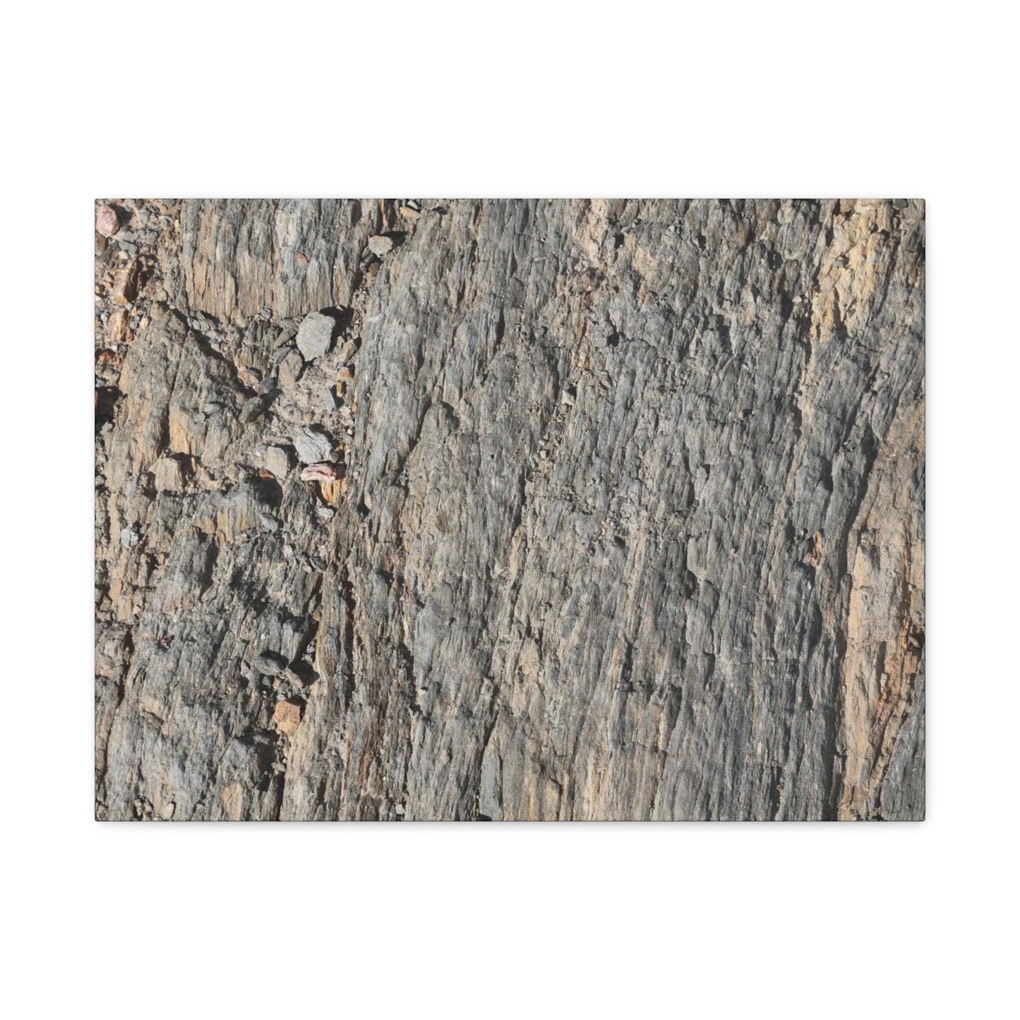 Bark Echoes - Unique Frameless Canvas Wall Art