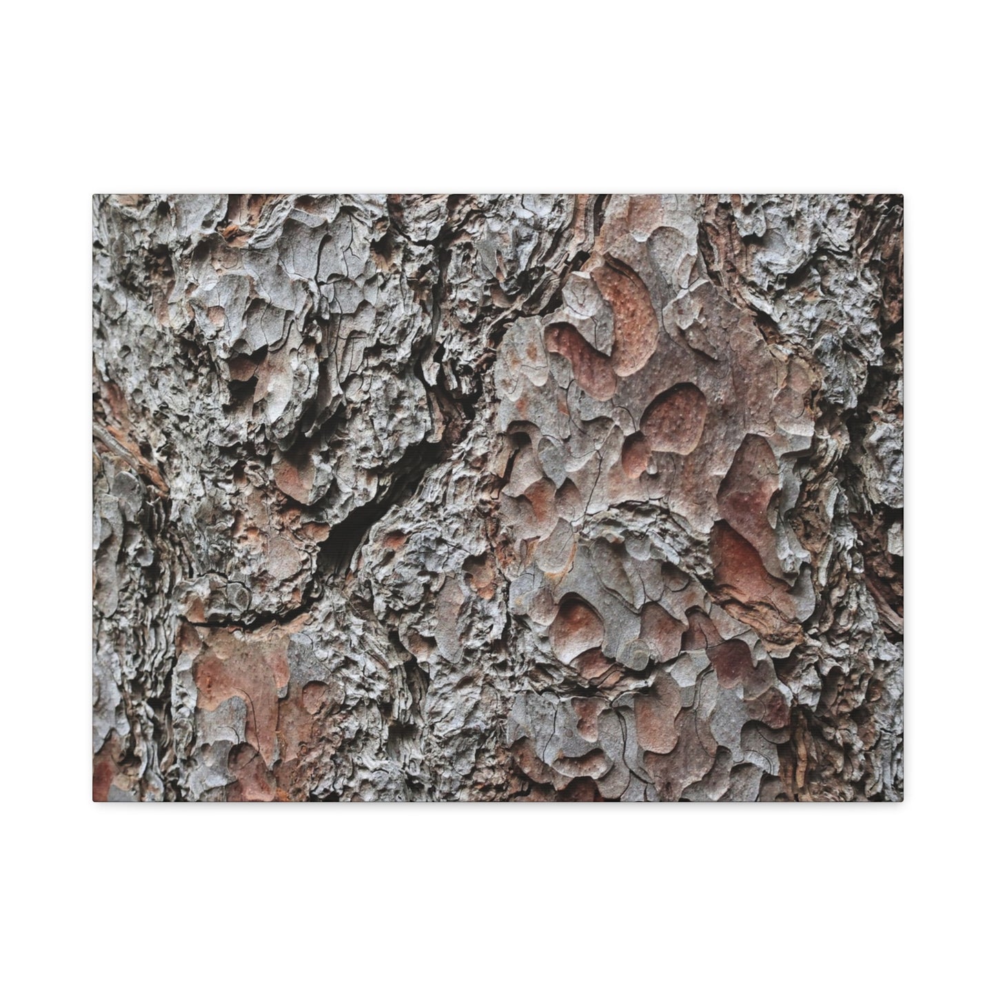 Textured Whispers of Bark - Unique Frameless Canvas Wall Art