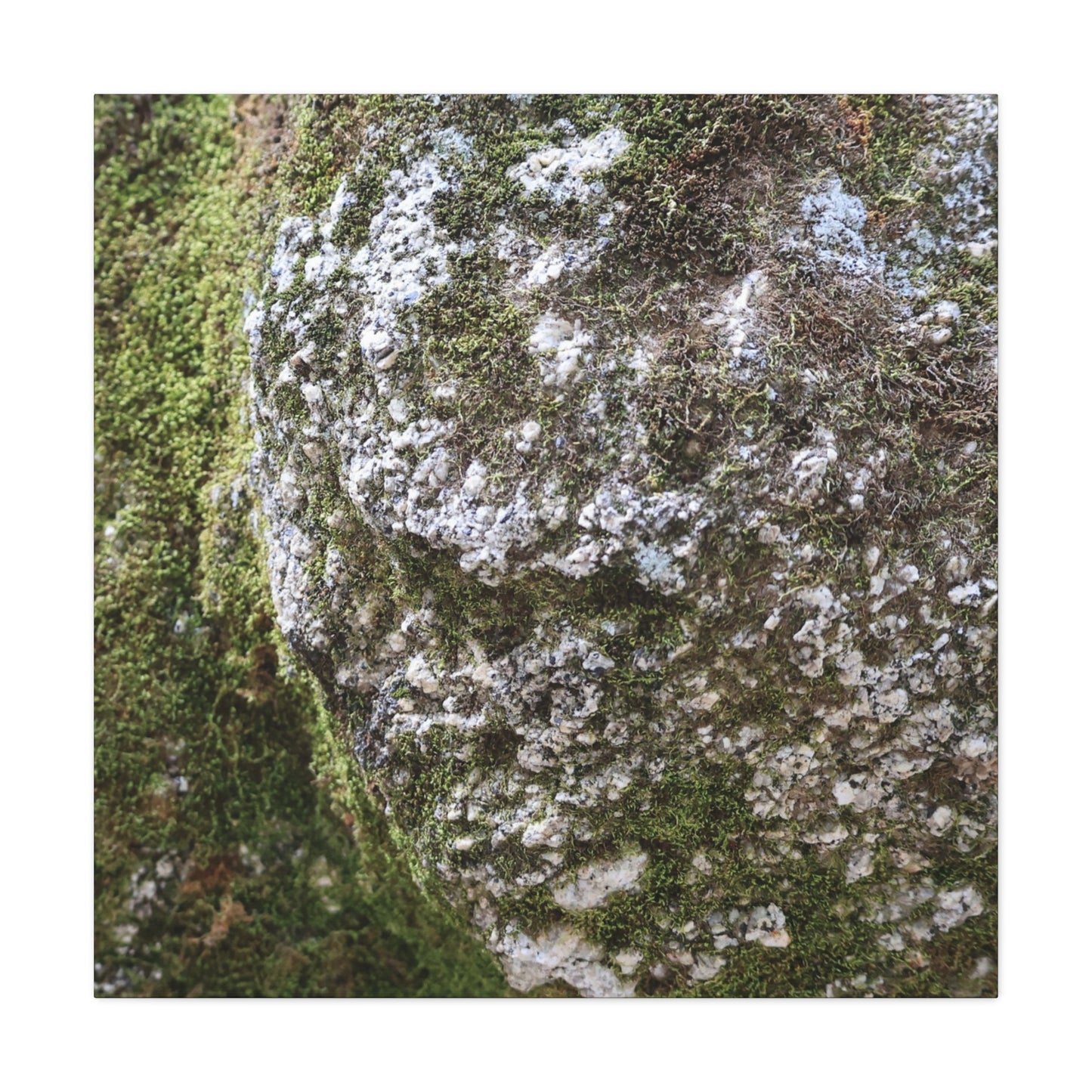 Moss and Stone Whispers - Unique Frameless Canvas Wall Art