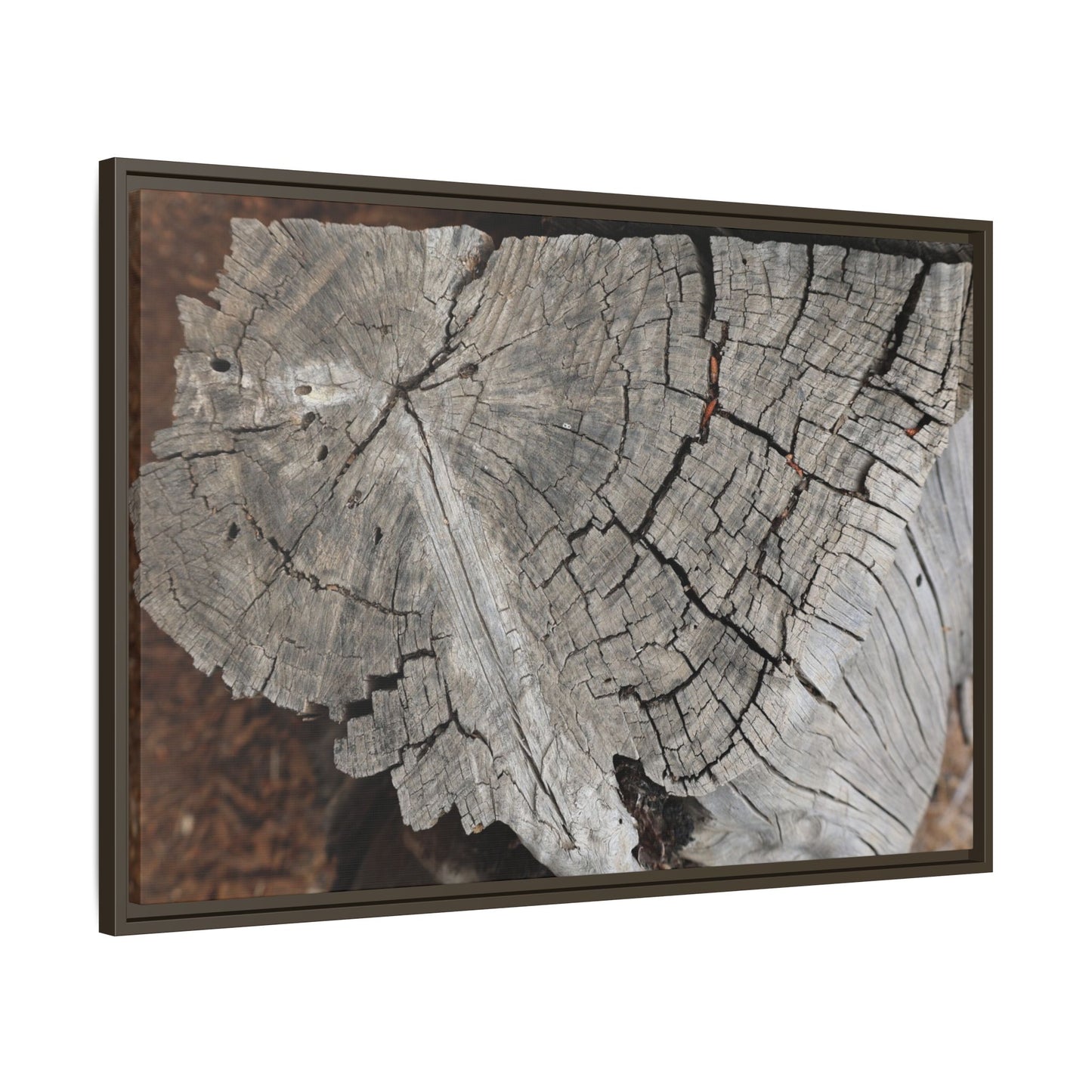 Time's Signature - Unique Stretched Canvas Wall Art