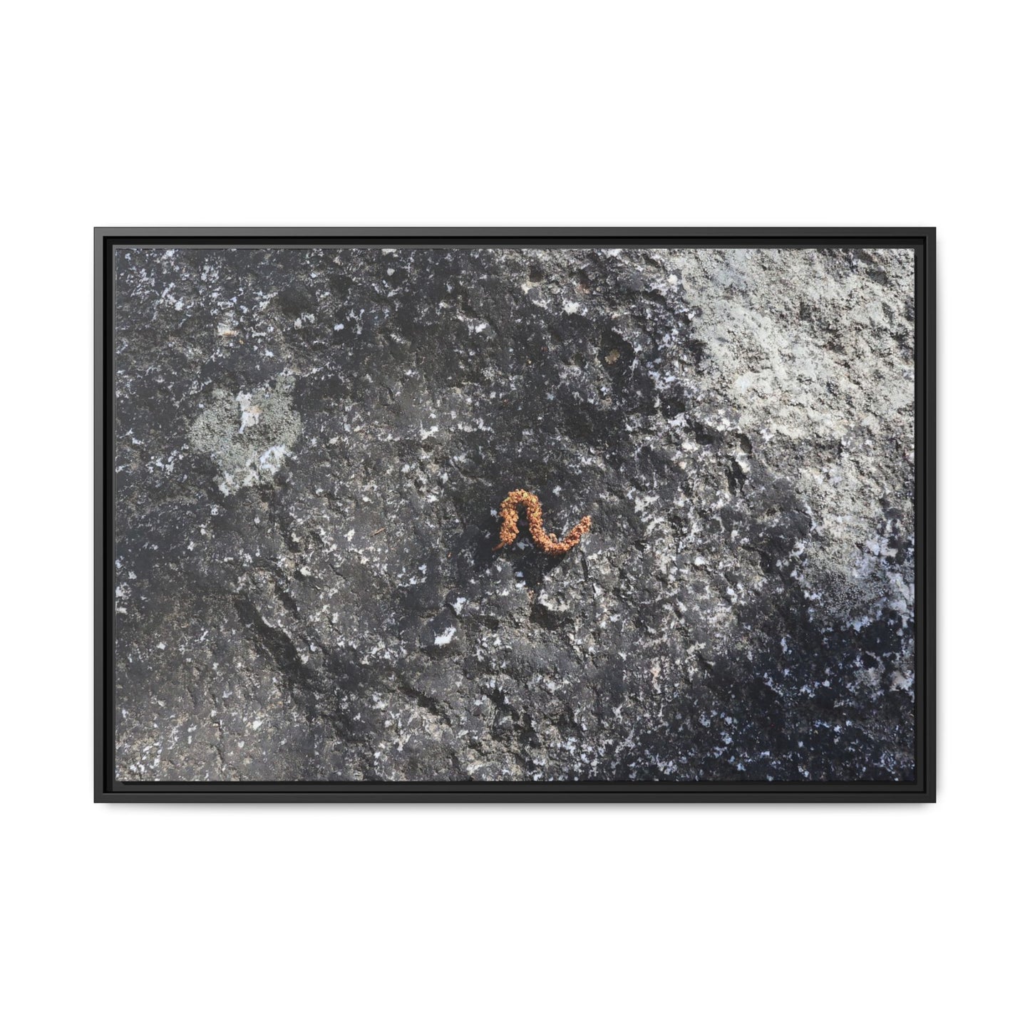 Volcanic Ash and Copper - Unique Stretched Canvas Wall Art