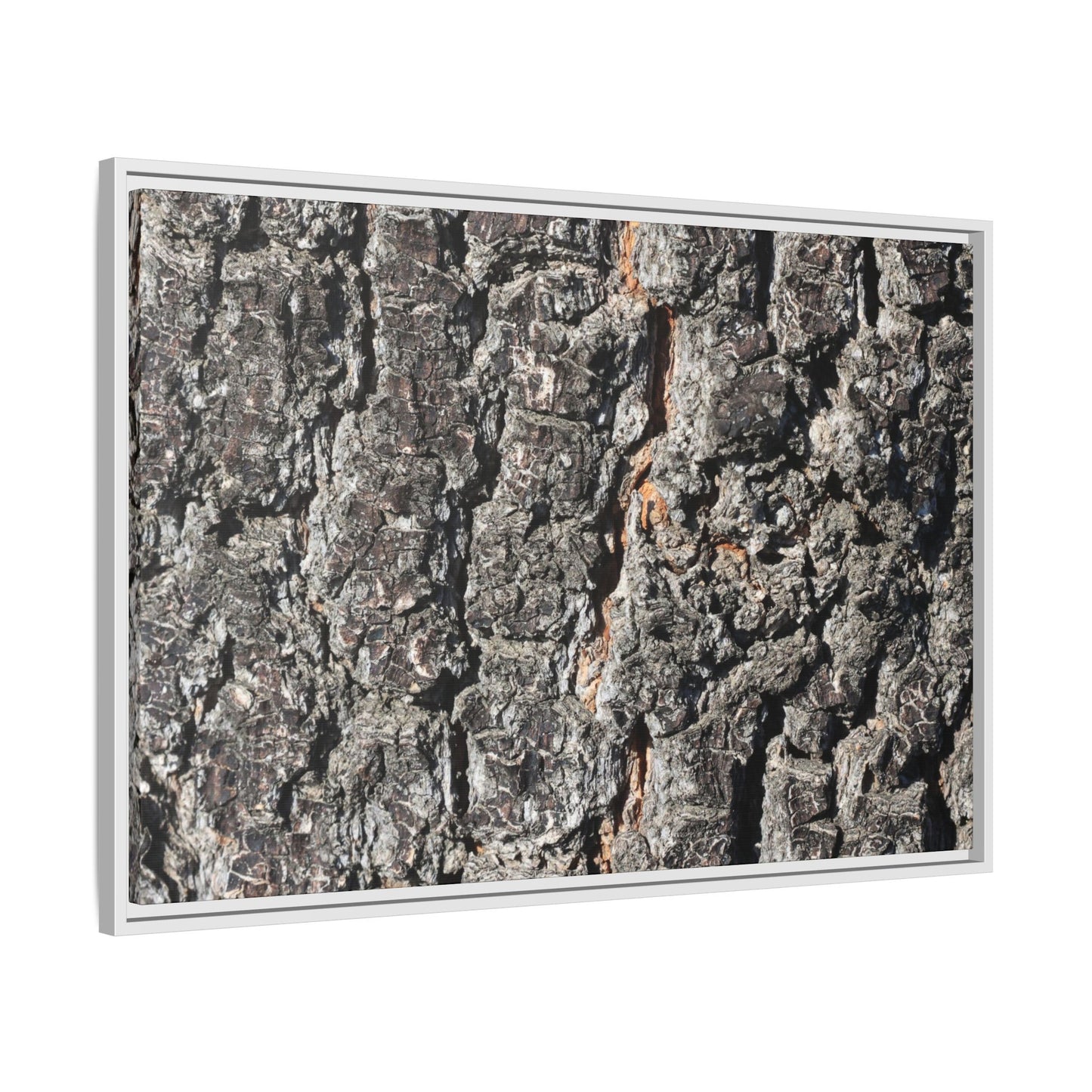Aged Beauty - Unique Stretched Canvas Wall Art