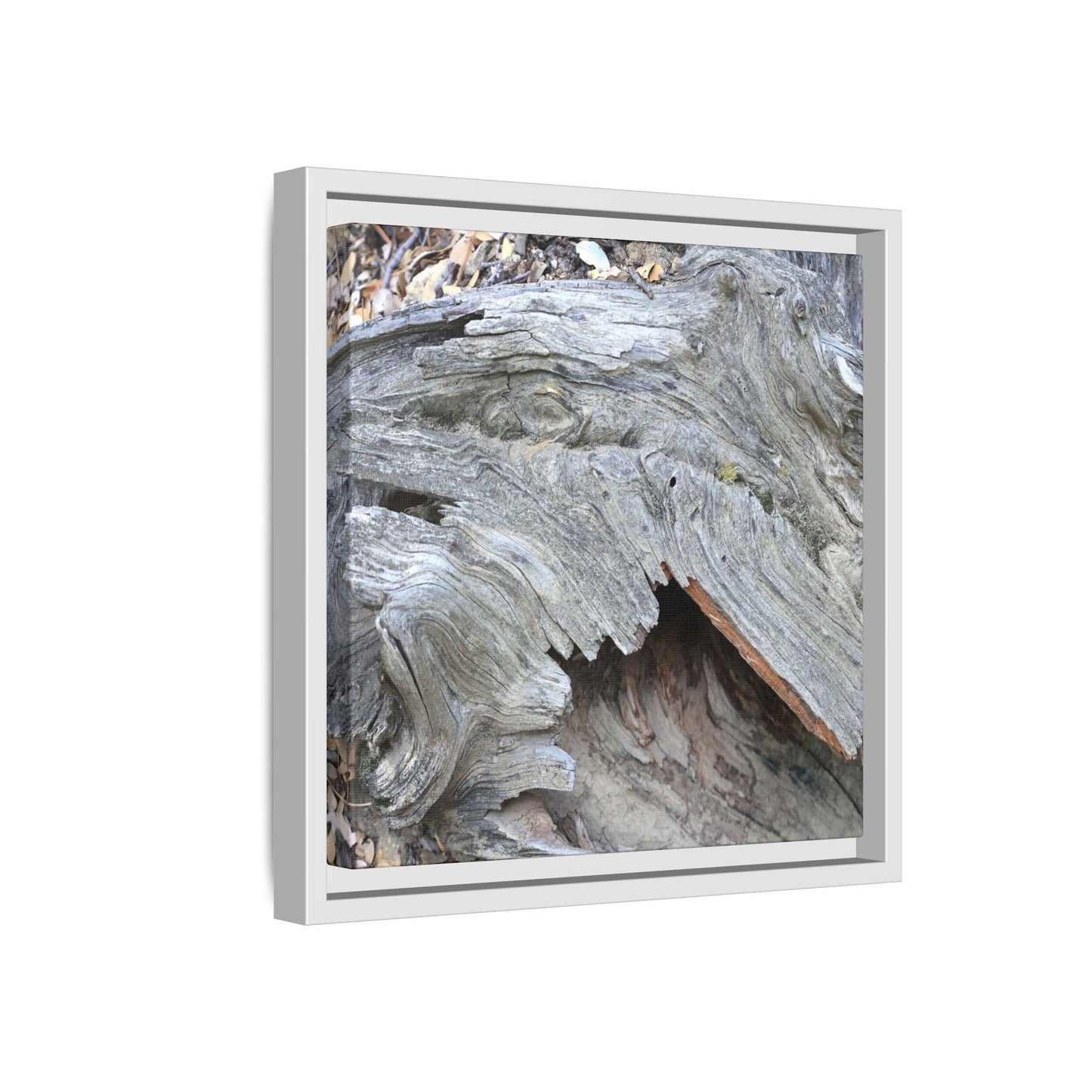 Driftwood Dreams - Unique Stretched Canvas Wall Art