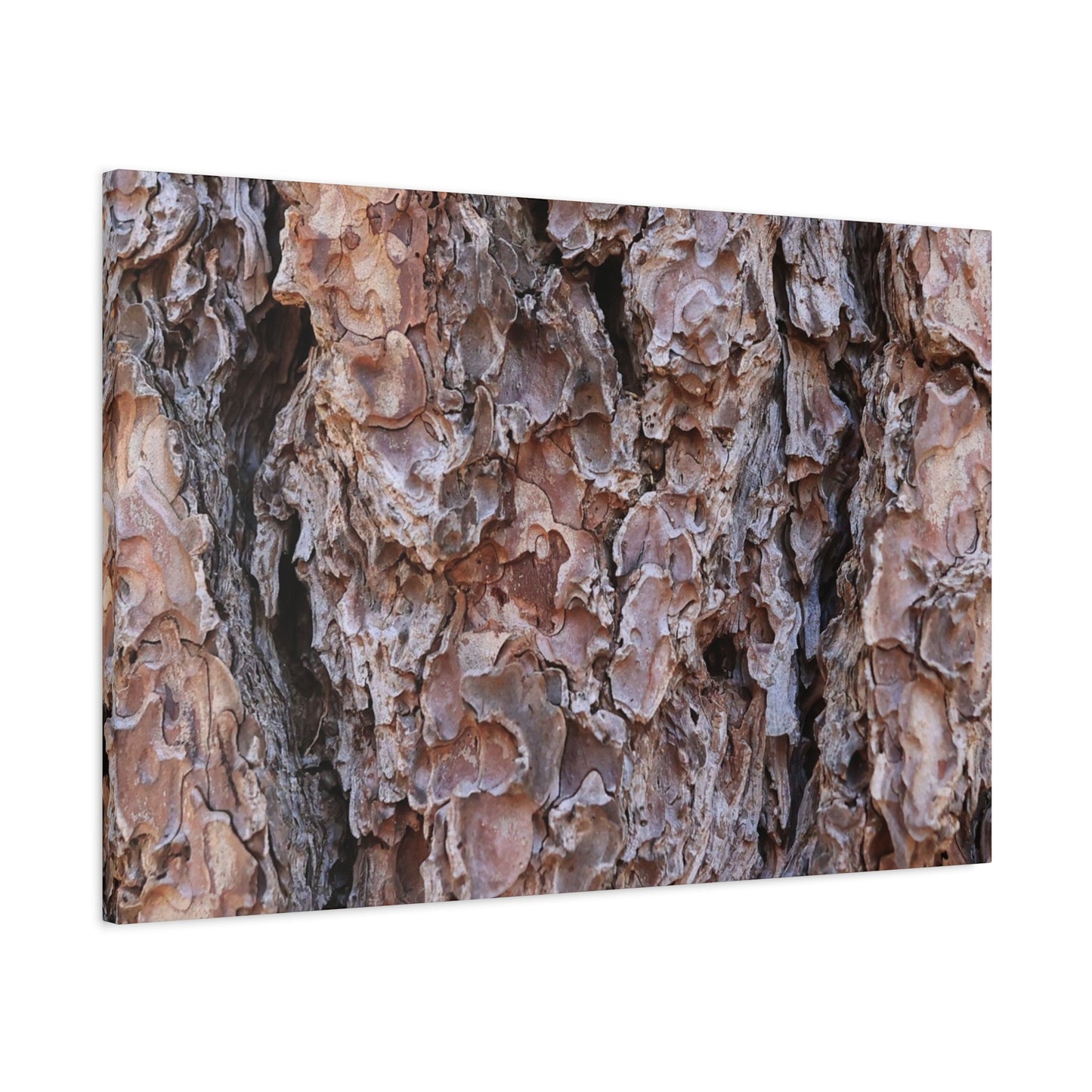 Rough Canvas - Unique Frameless Canvas Wall Art