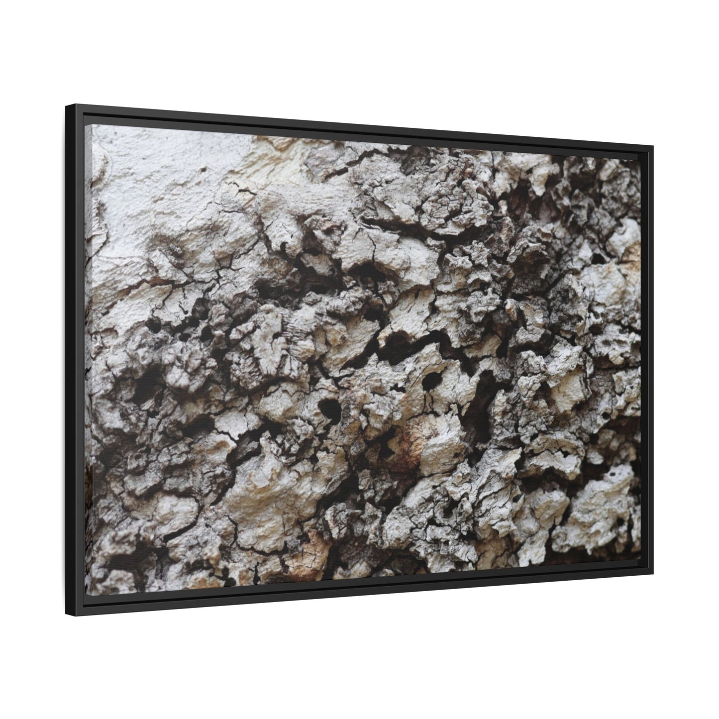 Cracked Terrain - Unique Stretched Canvas Wall Art