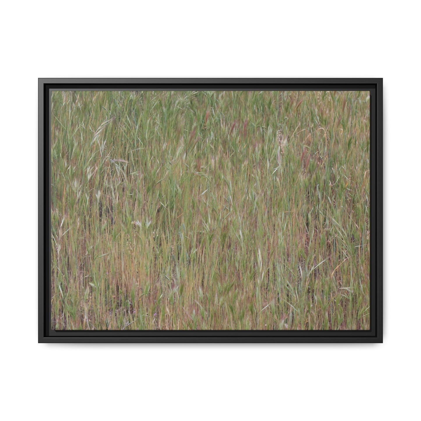 Field of Dreams - Unique Stretched Canvas Wall Art