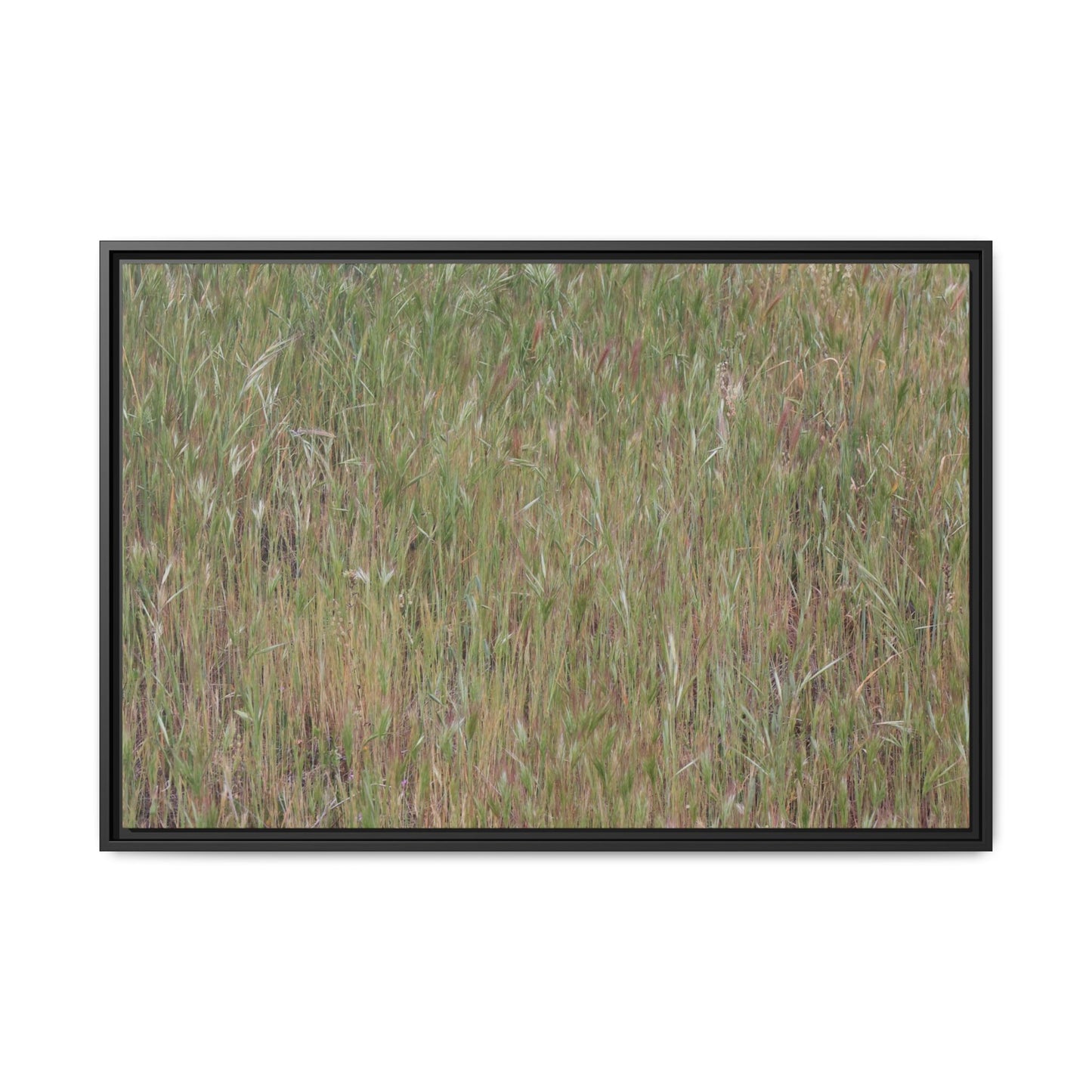 Field of Dreams - Unique Stretched Canvas Wall Art