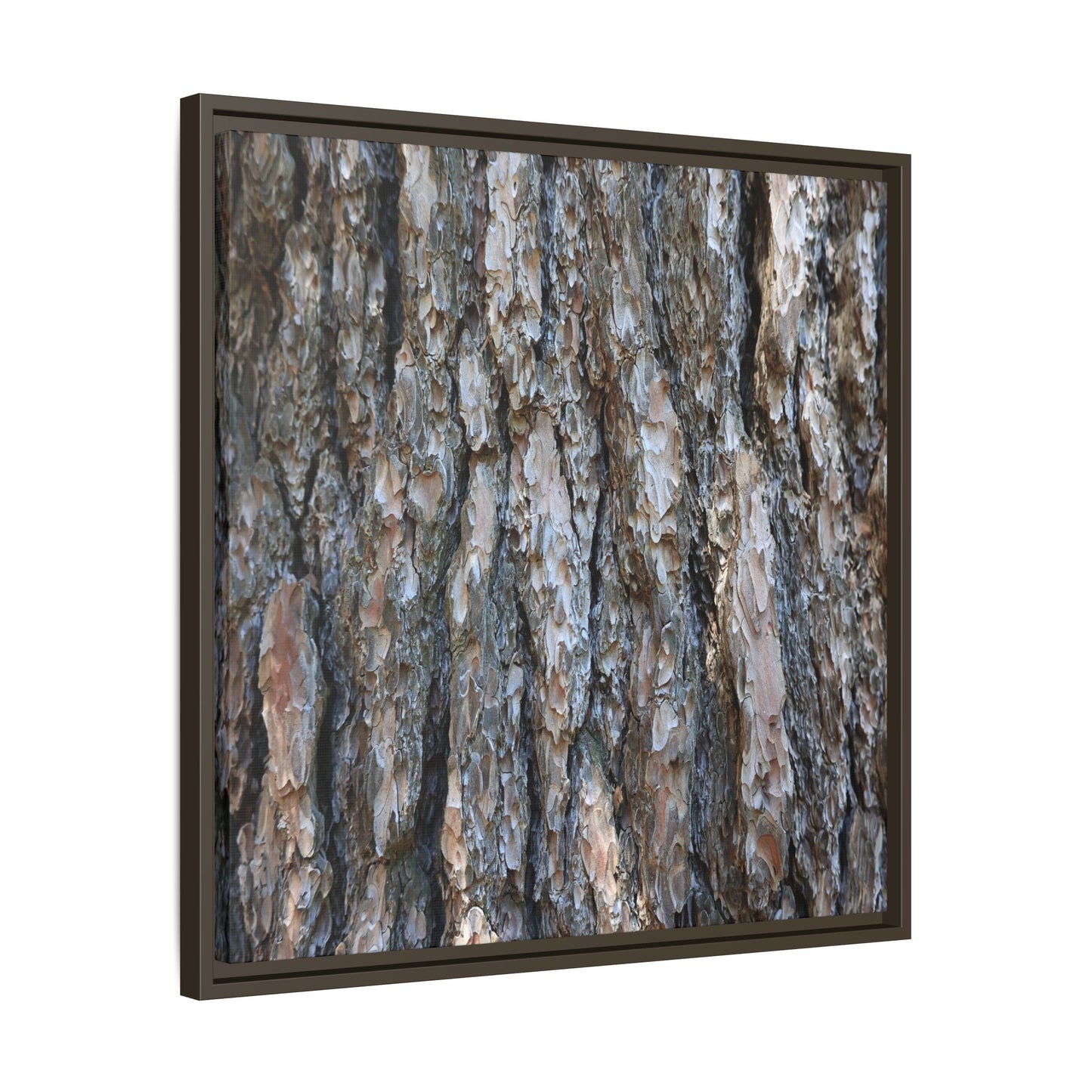 Bark Whispers - Unique Stretched Canvas Wall Art