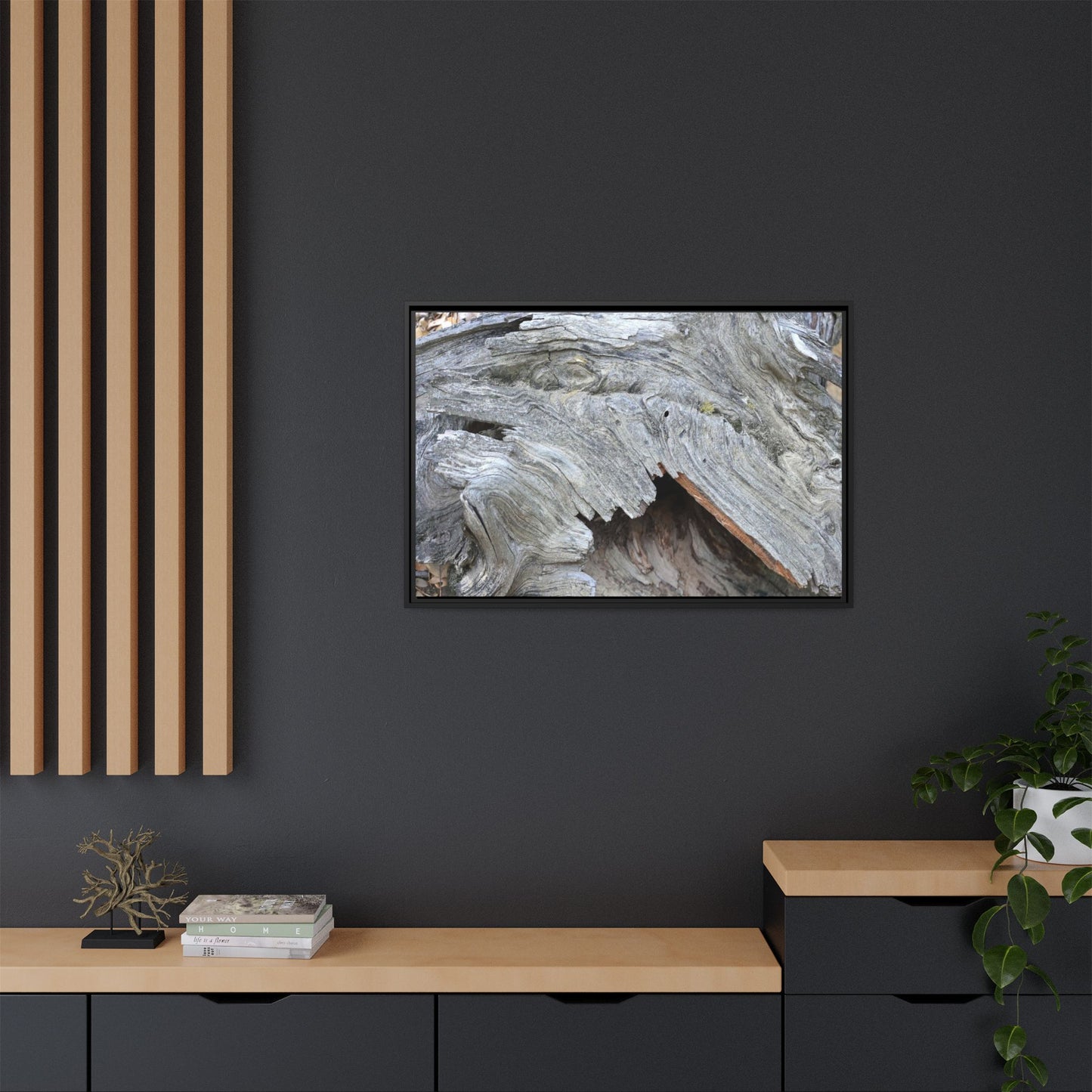 Driftwood Dreams - Unique Stretched Canvas Wall Art