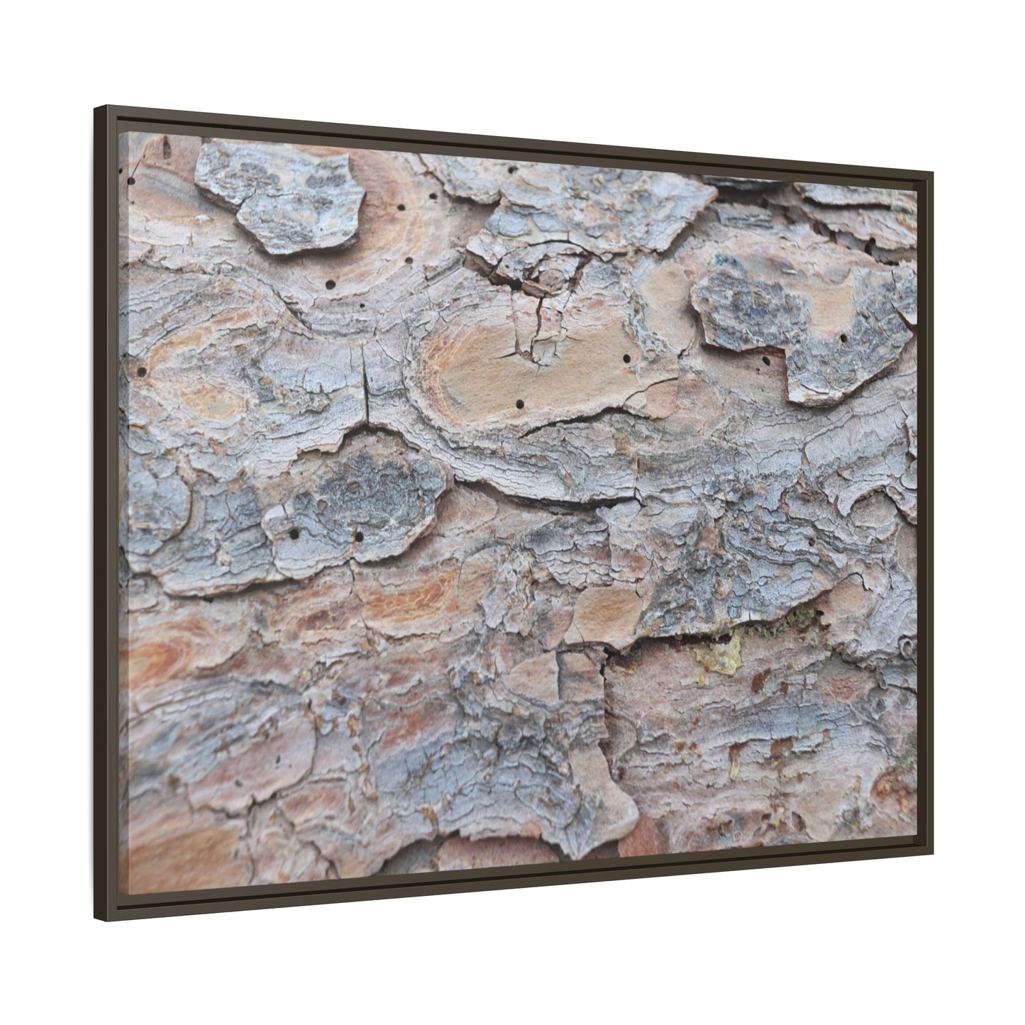 Peeling Memories - Unique Stretched Canvas Wall Art