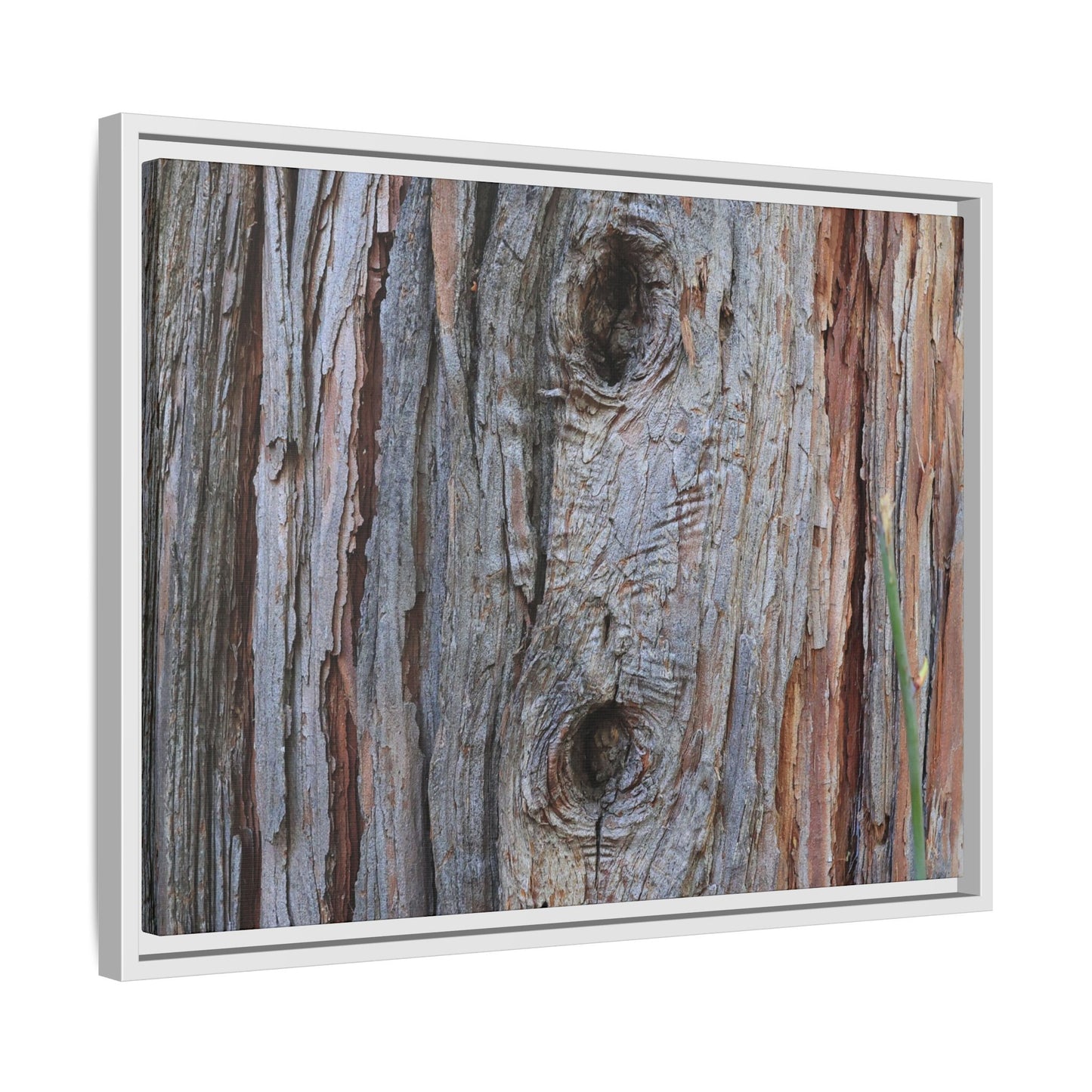 Knotty Nature - Unique Stretched Canvas Wall Art