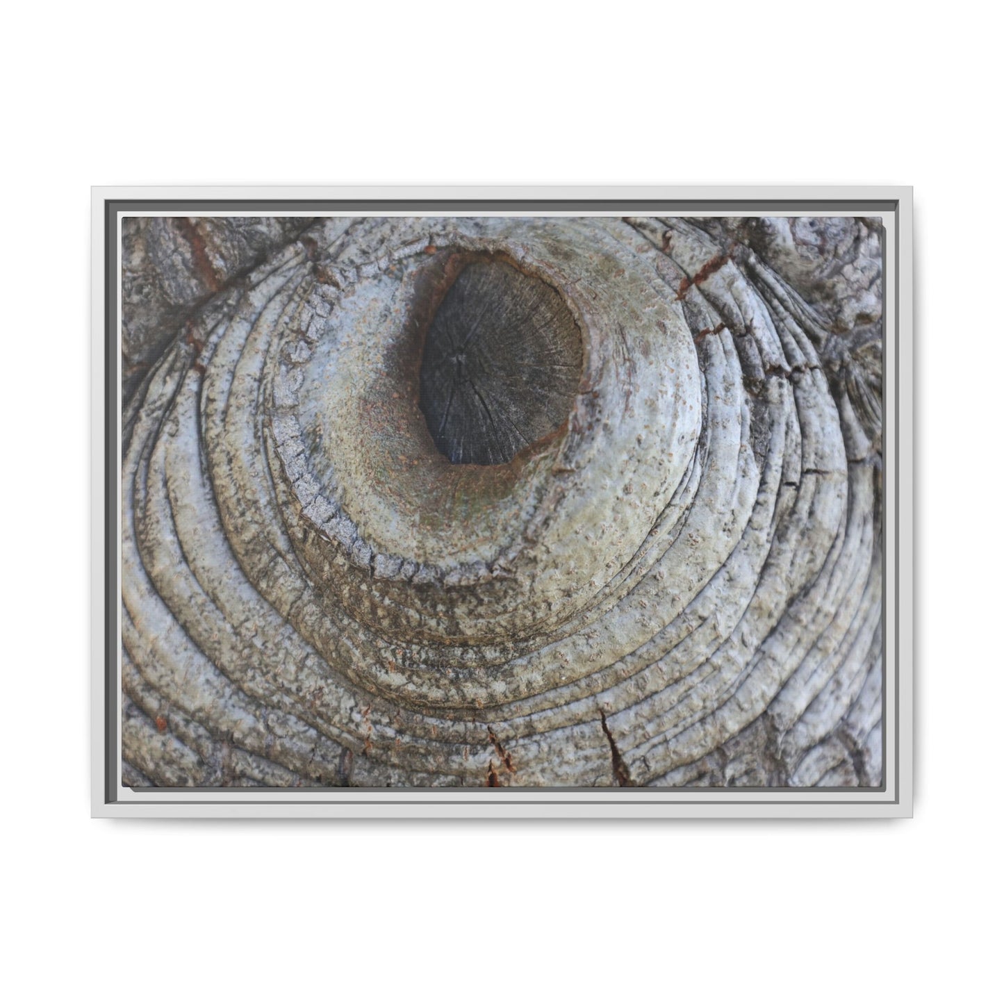 Echoes of Time - Unique Stretched Canvas Wall Art