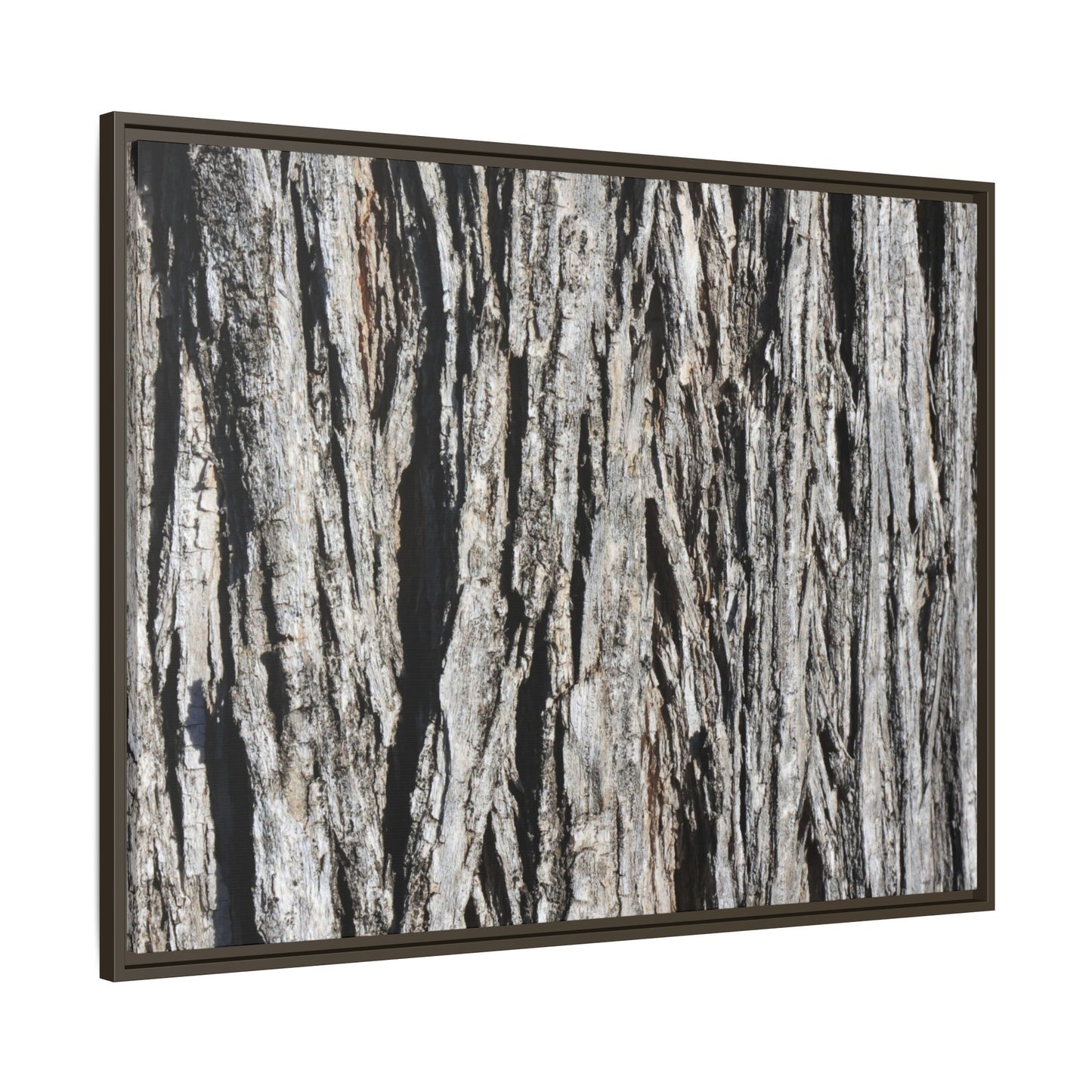Nature's Abstract - Unique Stretched Canvas Wall Art