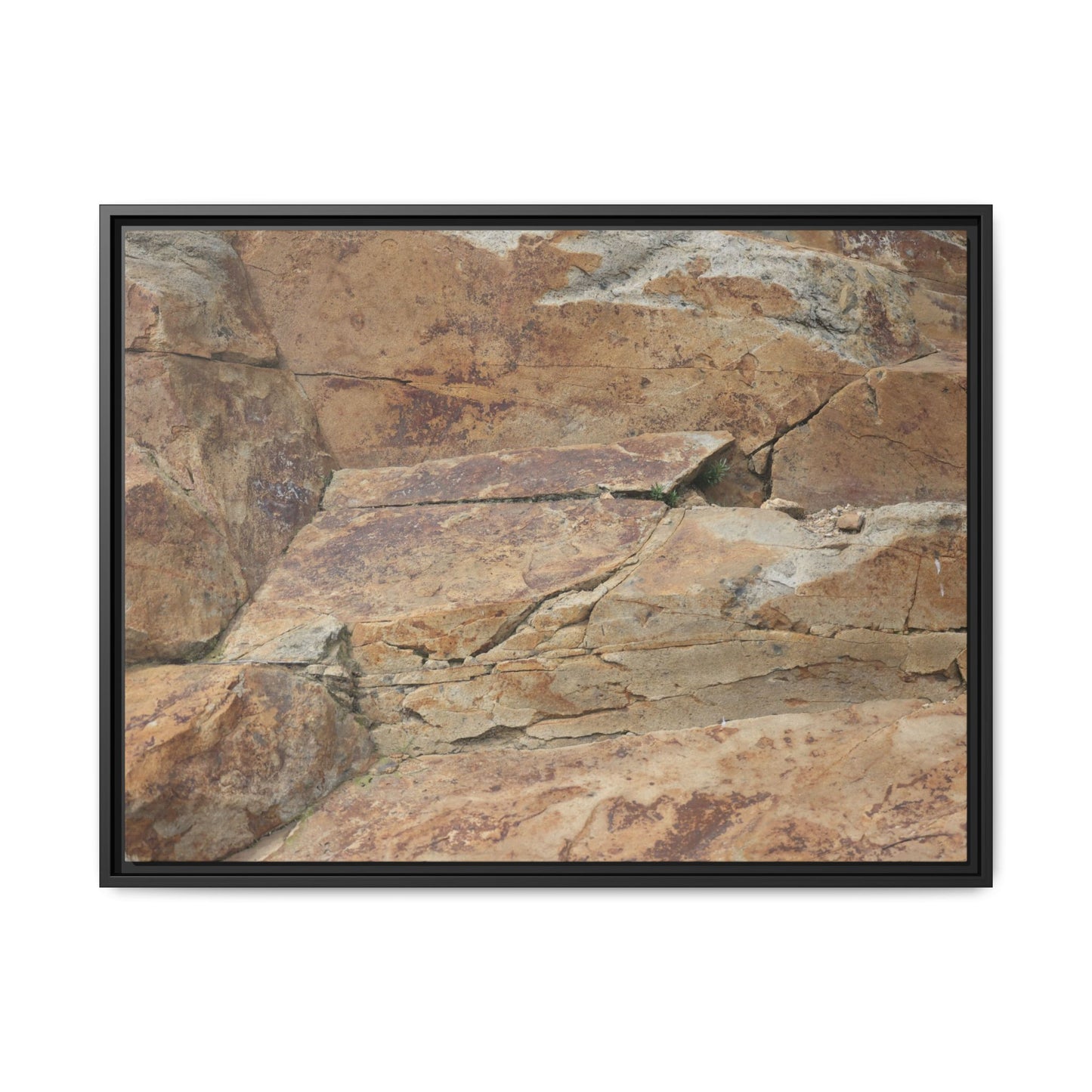 Ancient Foundations - Unique Stretched Canvas Wall Art