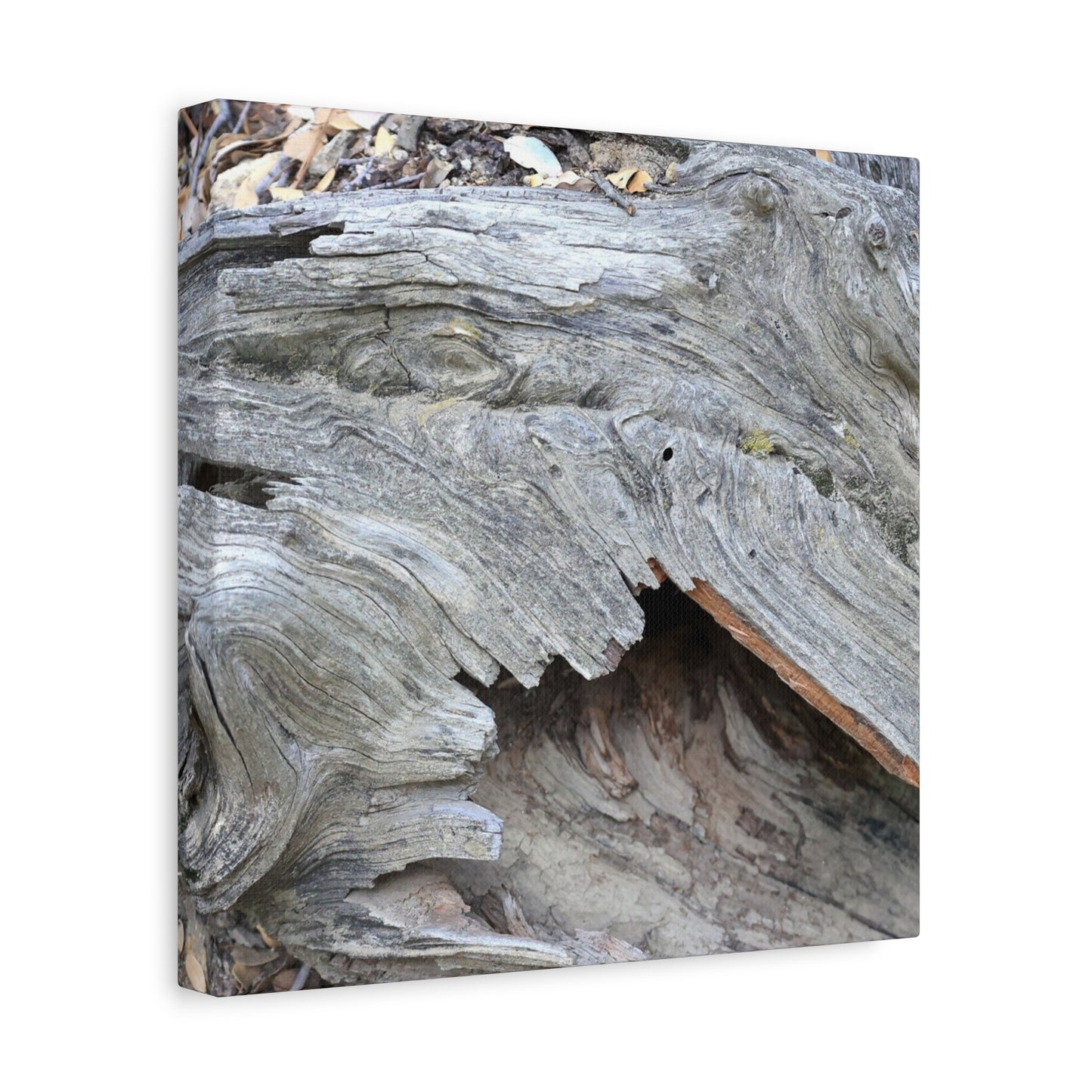 Whispers of Ancient Wood - Unique Frameless Canvas Wall Art