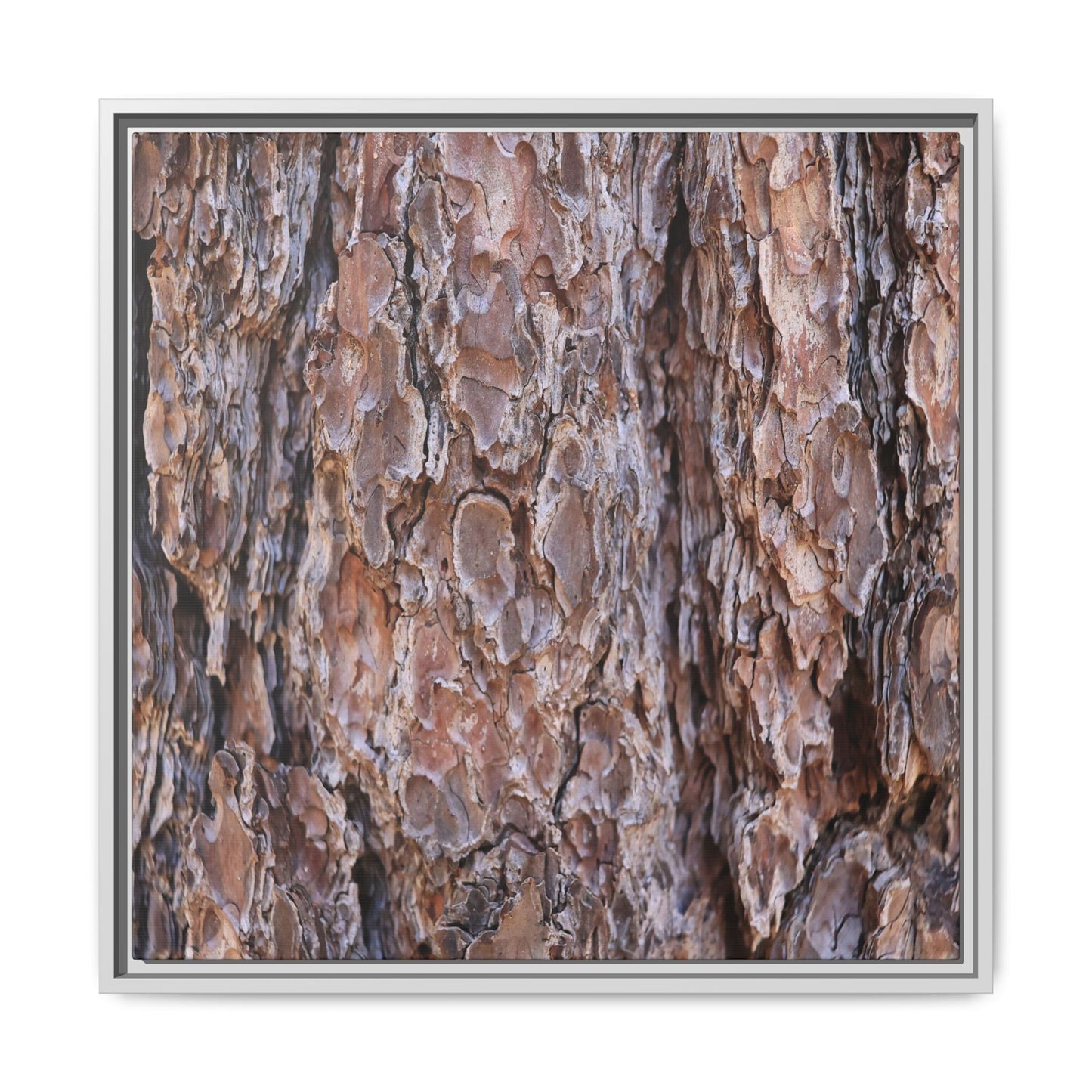 Woody Layers - Unique Stretched Canvas Wall Art