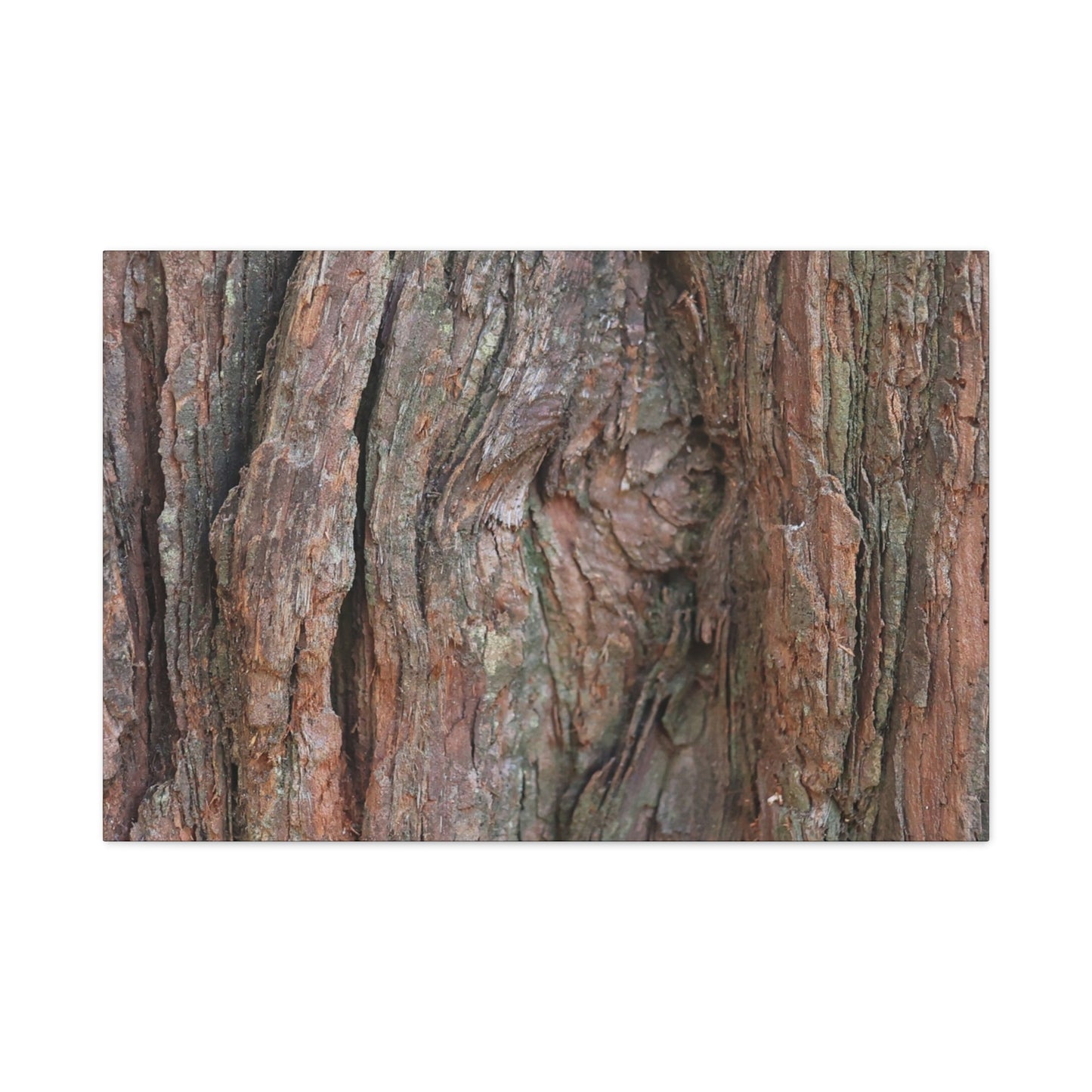 Rustic Embrace - Unique Frameless Canvas Wall Art
