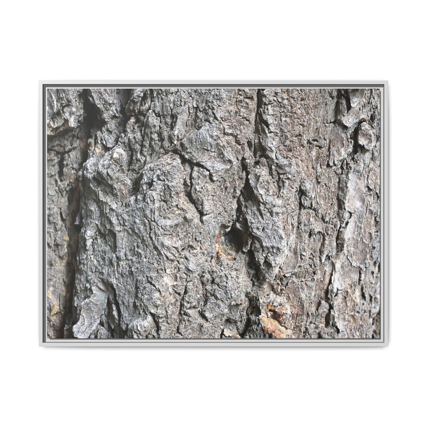Crusty Exterior - Unique Stretched Canvas Wall Art