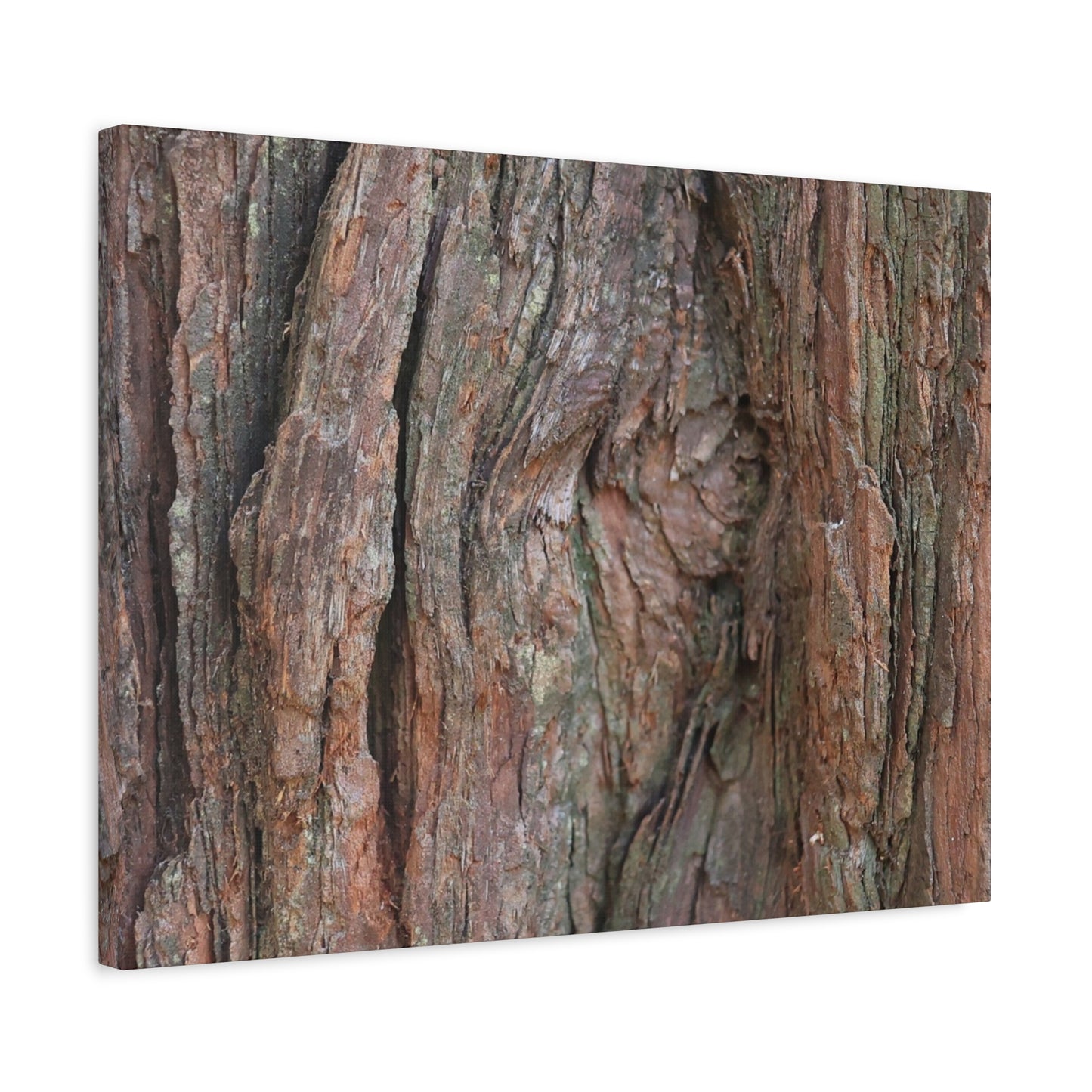 Rustic Embrace - Unique Frameless Canvas Wall Art