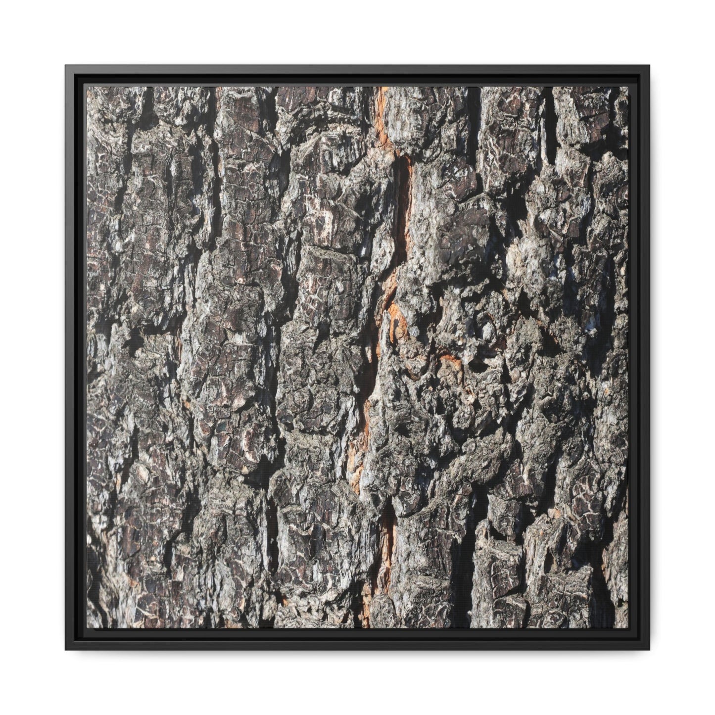Aged Beauty - Unique Stretched Canvas Wall Art