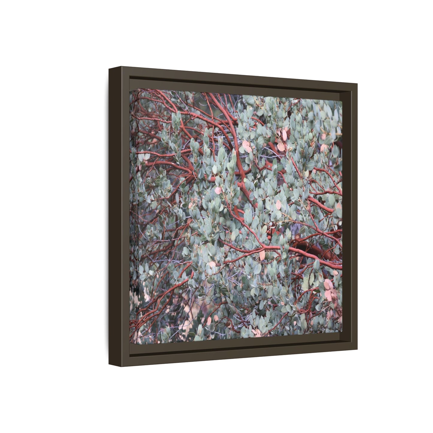 Whispers of Sage - Unique Stretched Canvas Wall Art