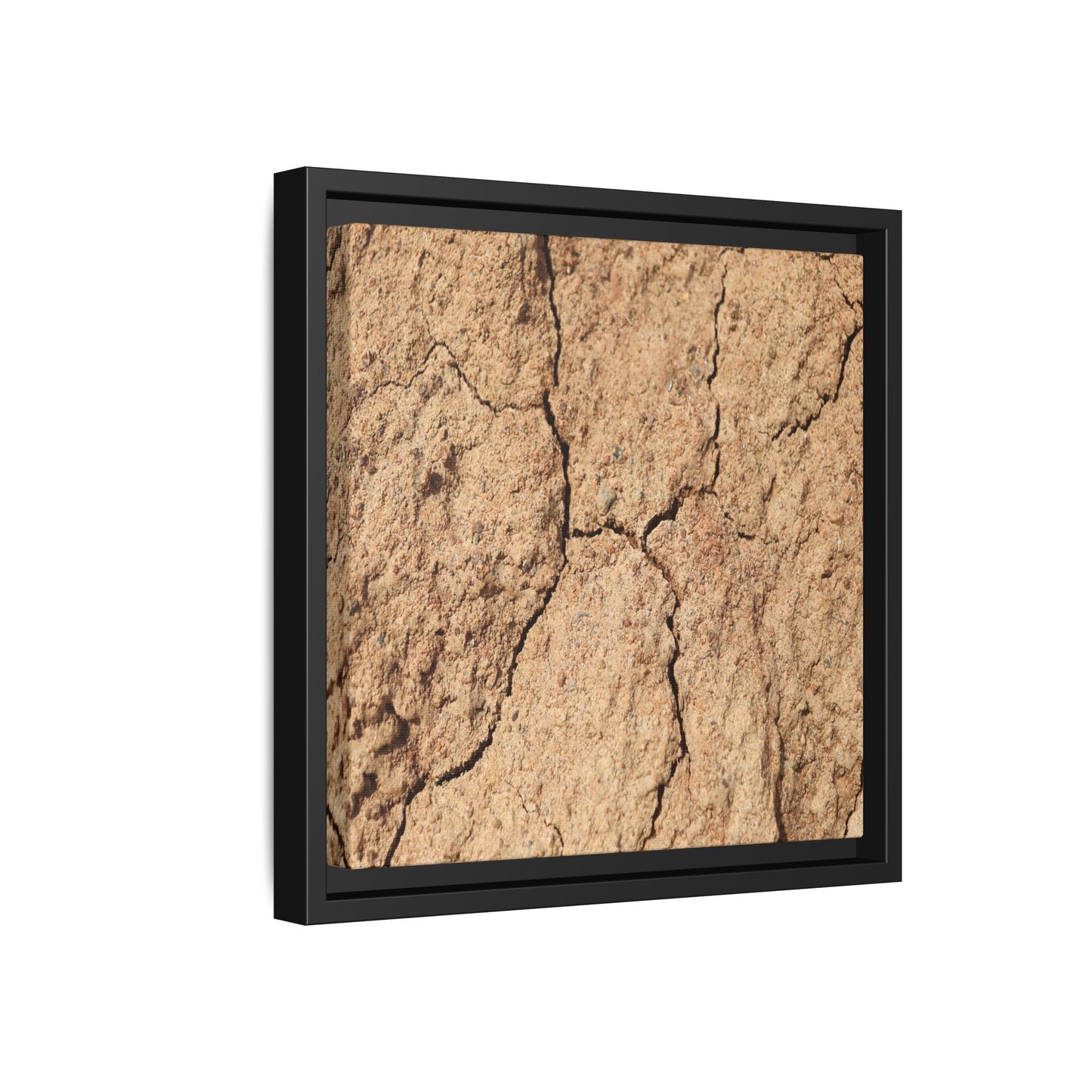 Parched Land - Unique Stretched Canvas Wall Art