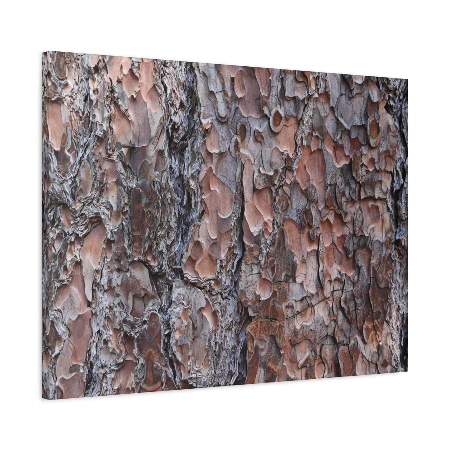 Woodland Armor - Unique Frameless Canvas Wall Art