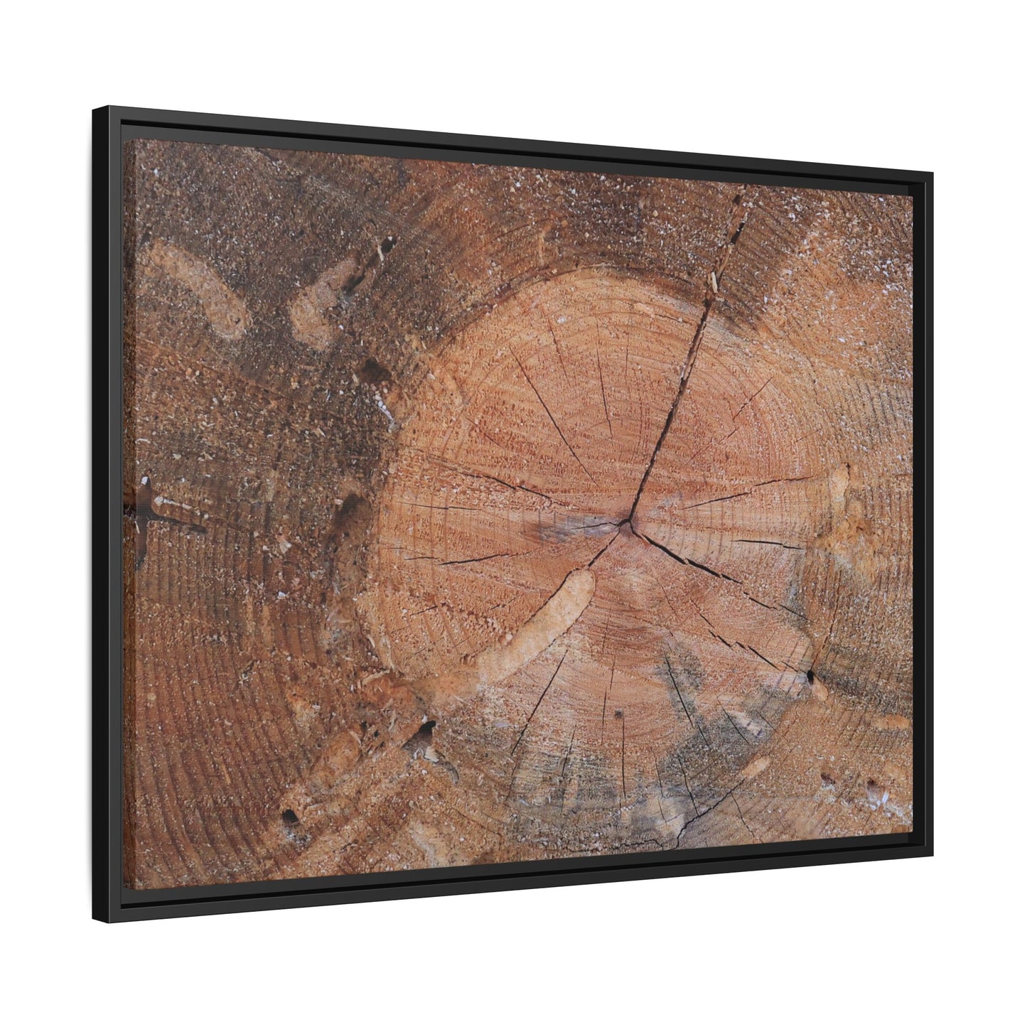Concentric Memories - Unique Stretched Canvas Wall Art