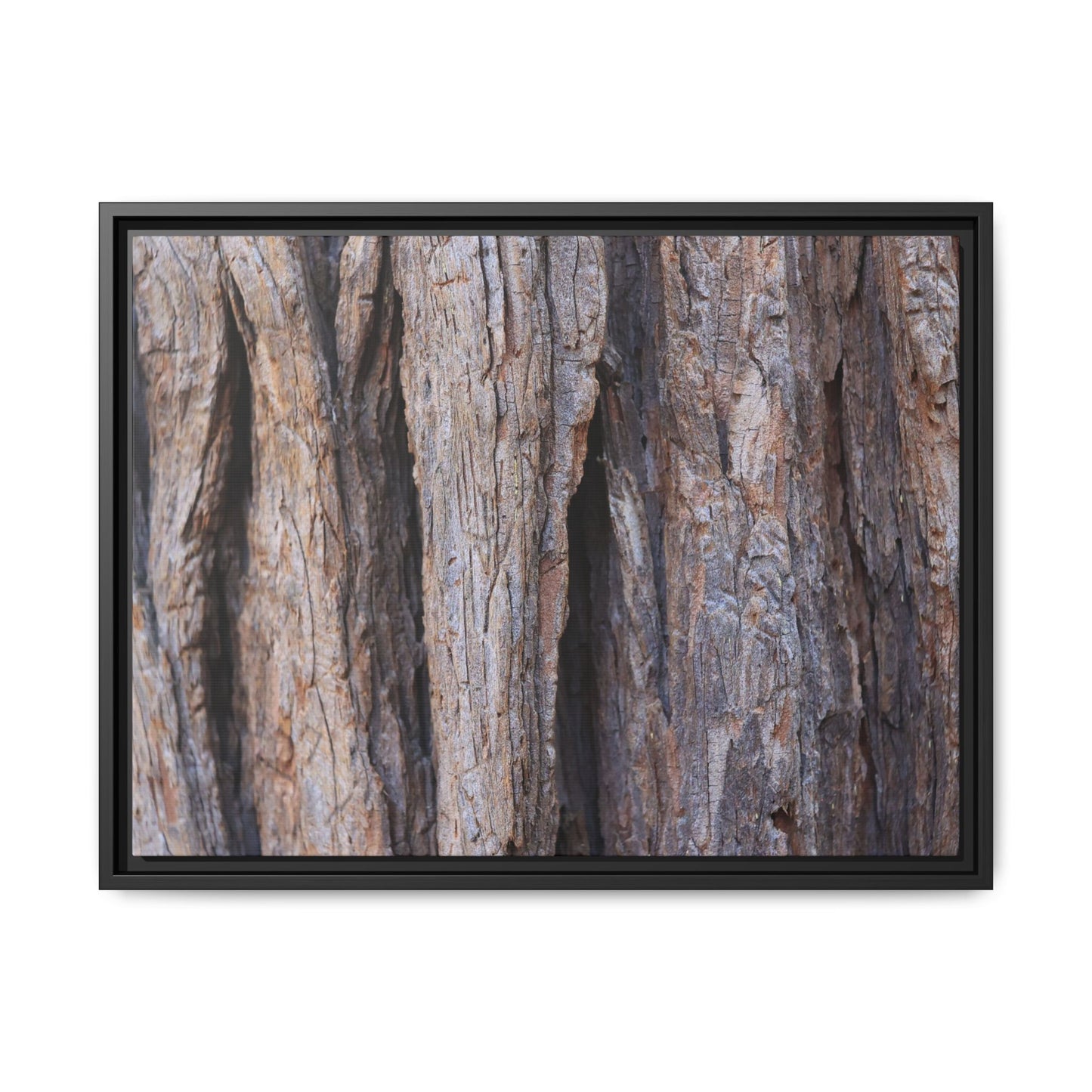 Ancient Grains - Unique Stretched Canvas Wall Art