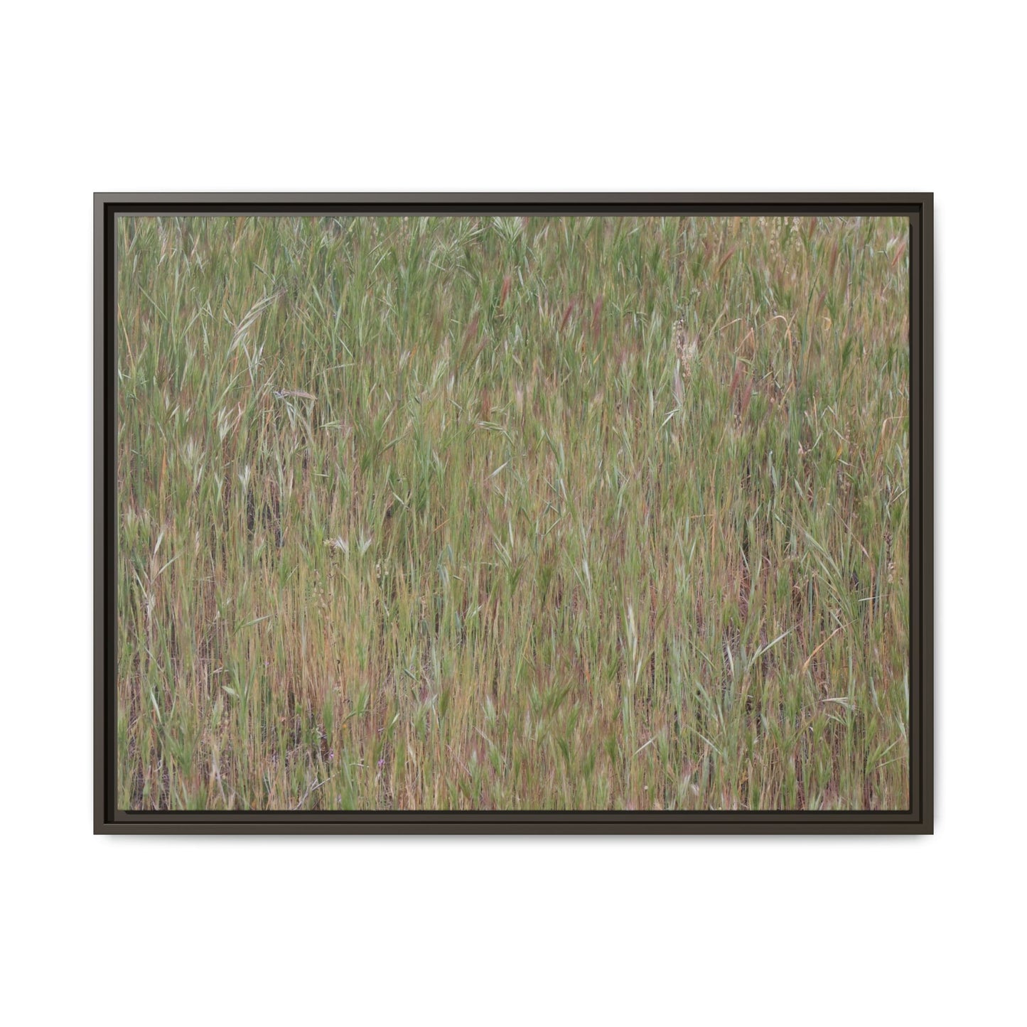 Field of Dreams - Unique Stretched Canvas Wall Art